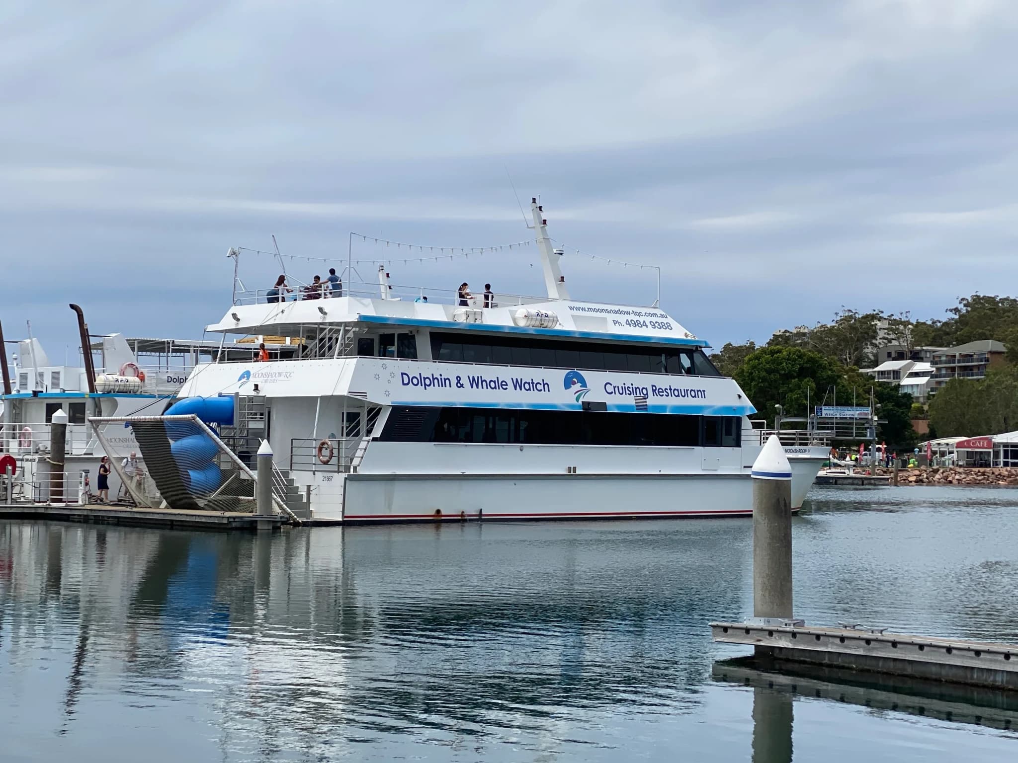 Port Stephens Dolphin Discovery Cruise - image 4