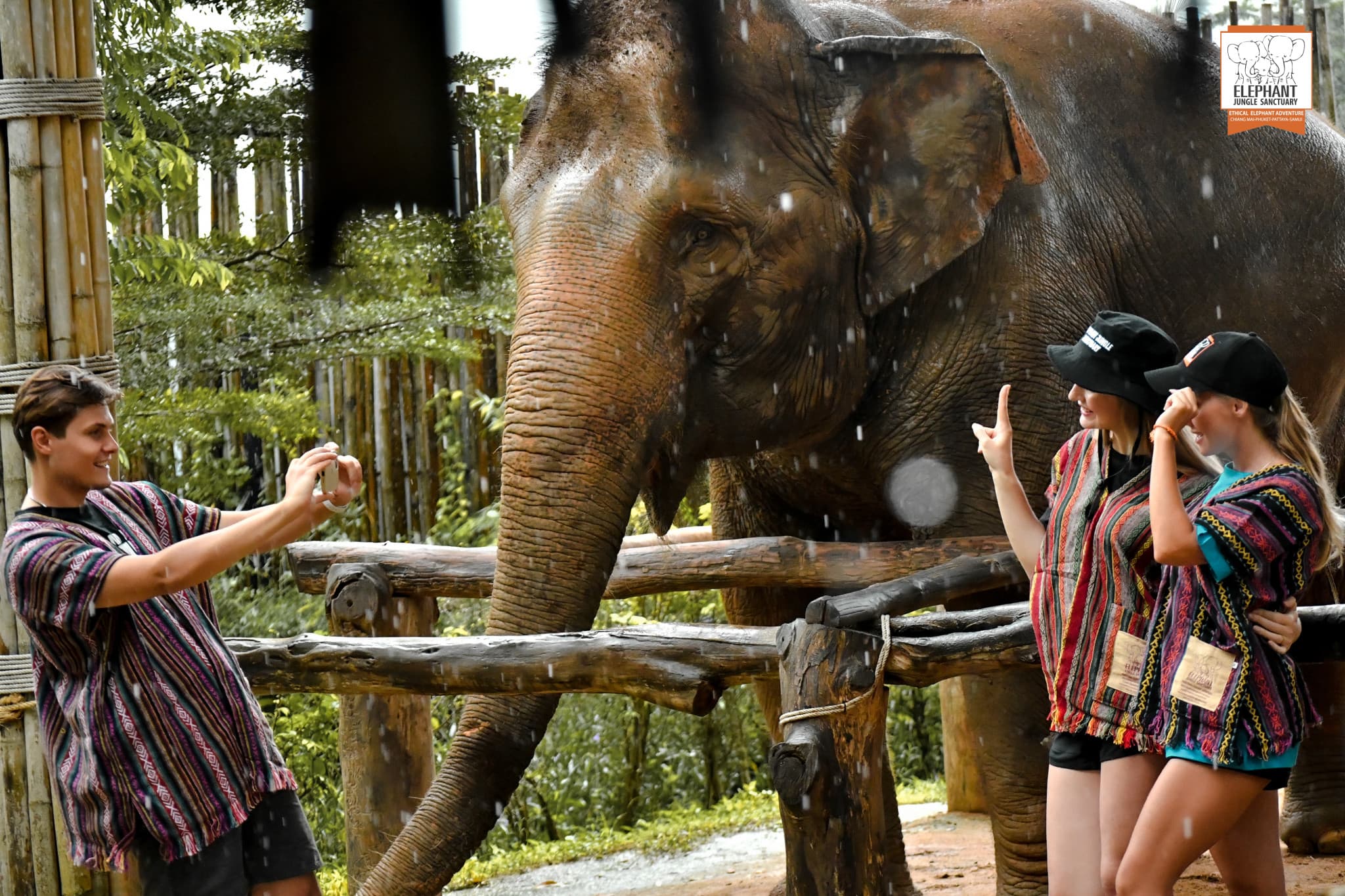 Elephant Jungle Sanctuary Phuket - image 3