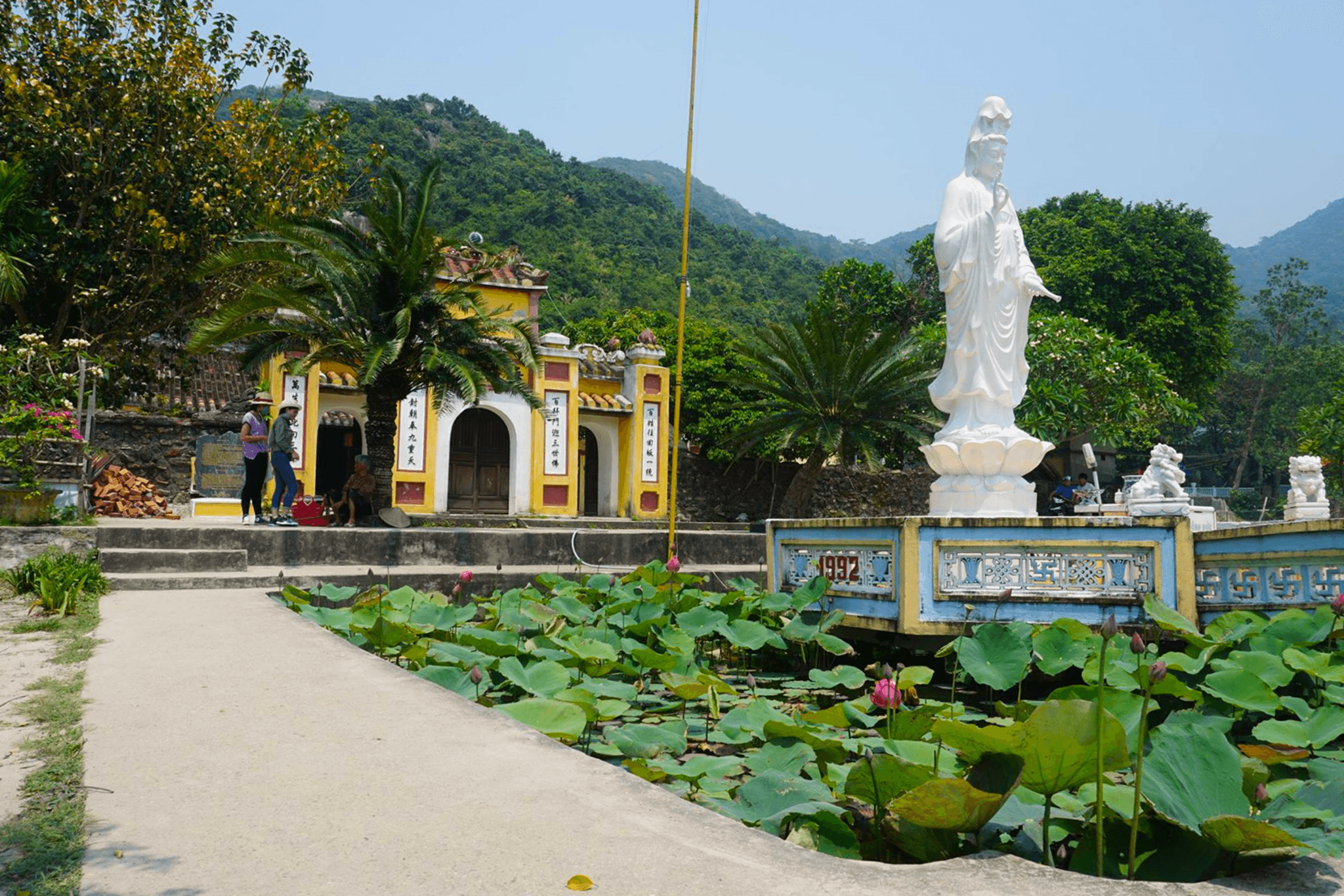Cham Island Tour from Da Nang - image 5