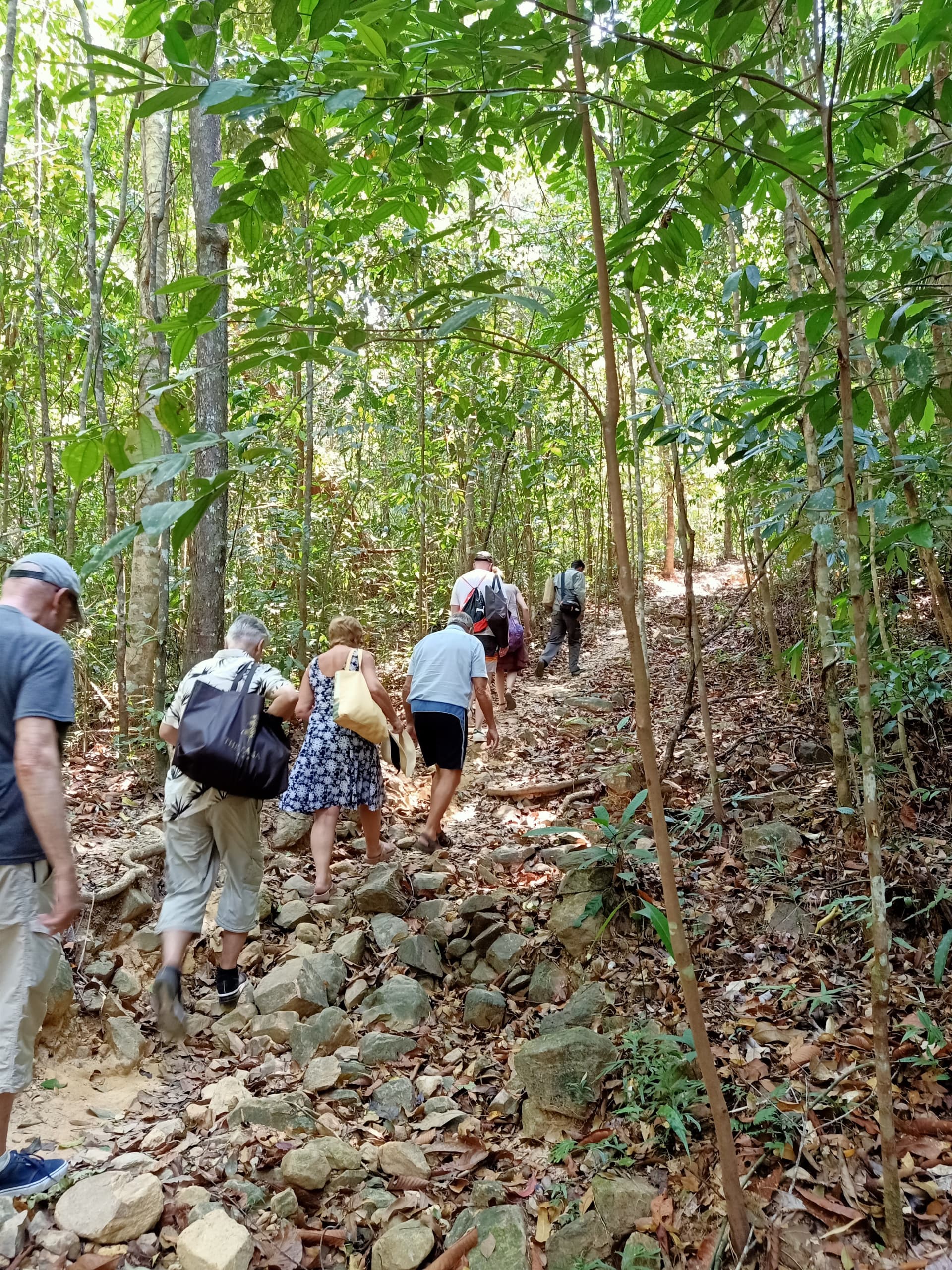 Tour a pie matutino por la selva tropical de Langkawi - imagen 7
