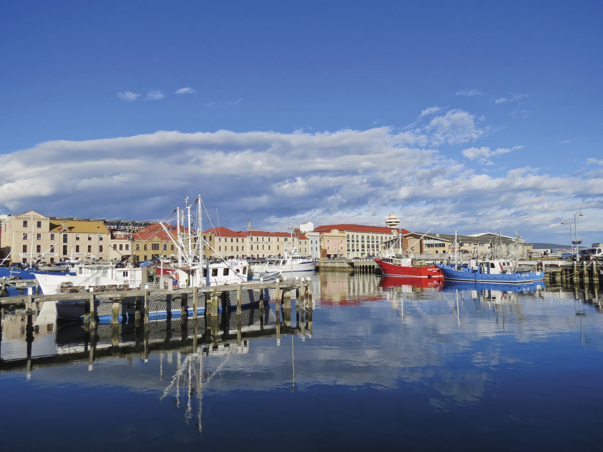 Mount Wellington and Hobart City Tour - imagen 2