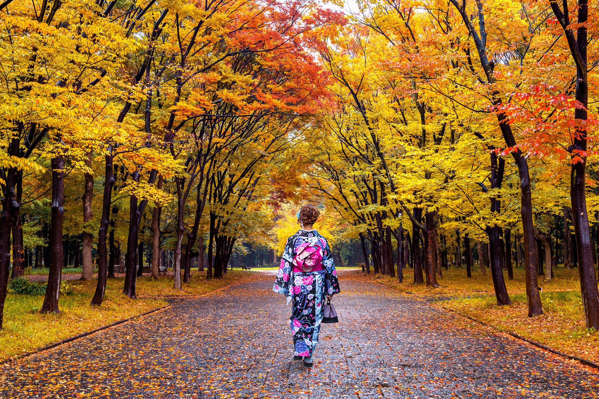 Professional Photo Shoot in Tokyo - image 3