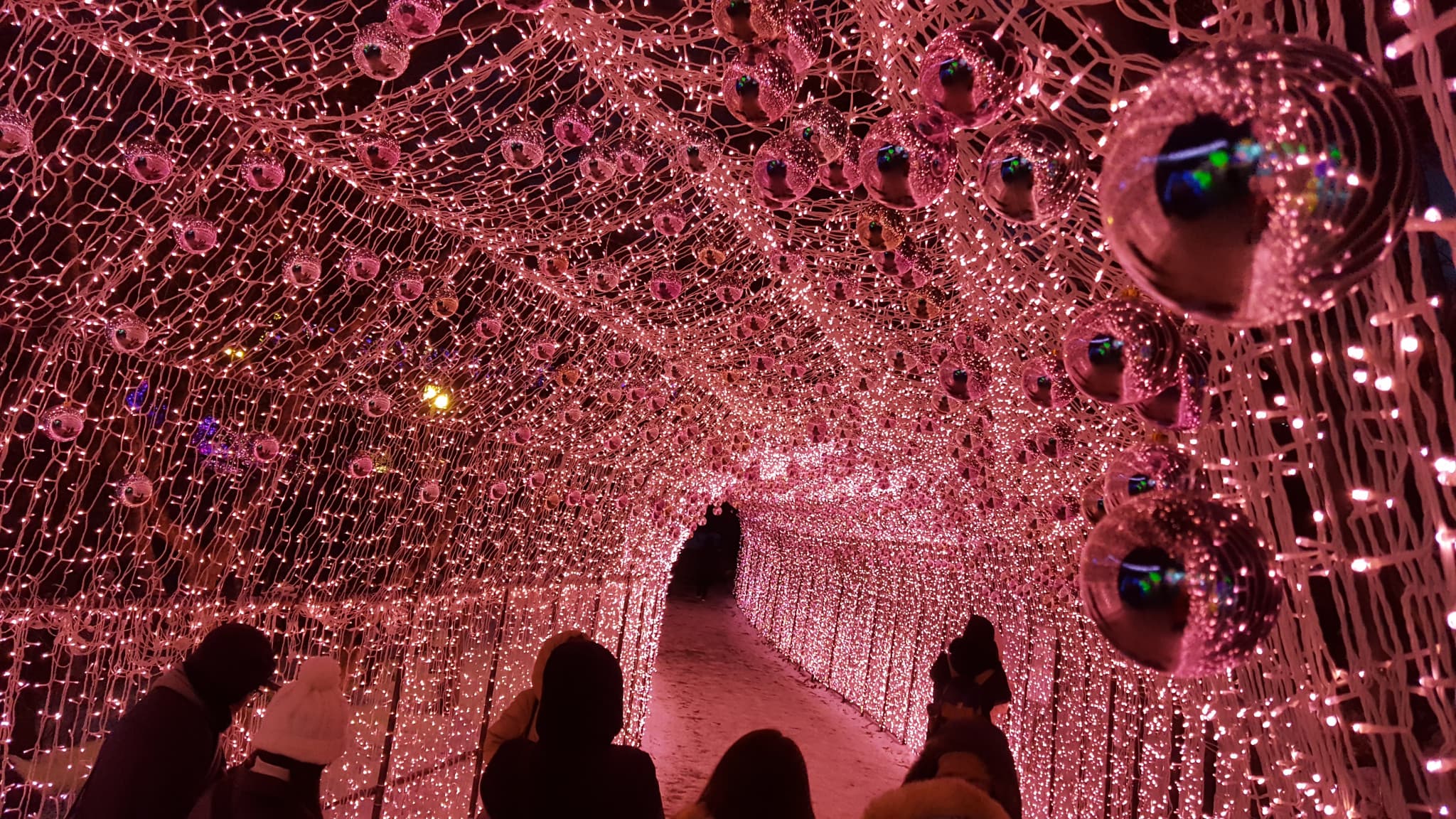 Nami Island, Mount Seorak, and Garden of Morning Calm Full-Day Tour from Seoul - image 11