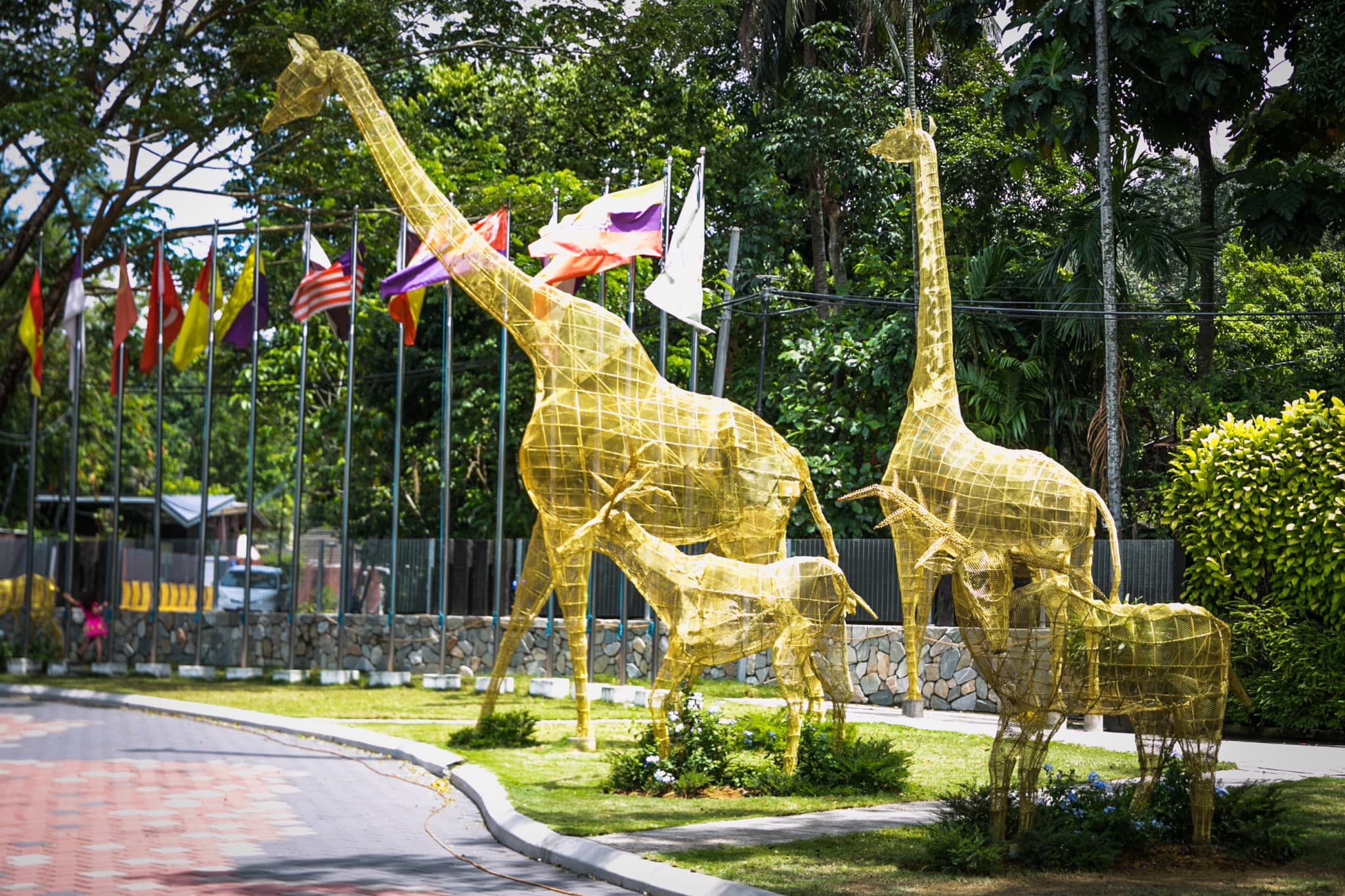 Zoo Negara Malaysia & Panda Conservation Centre Ticket - image 24