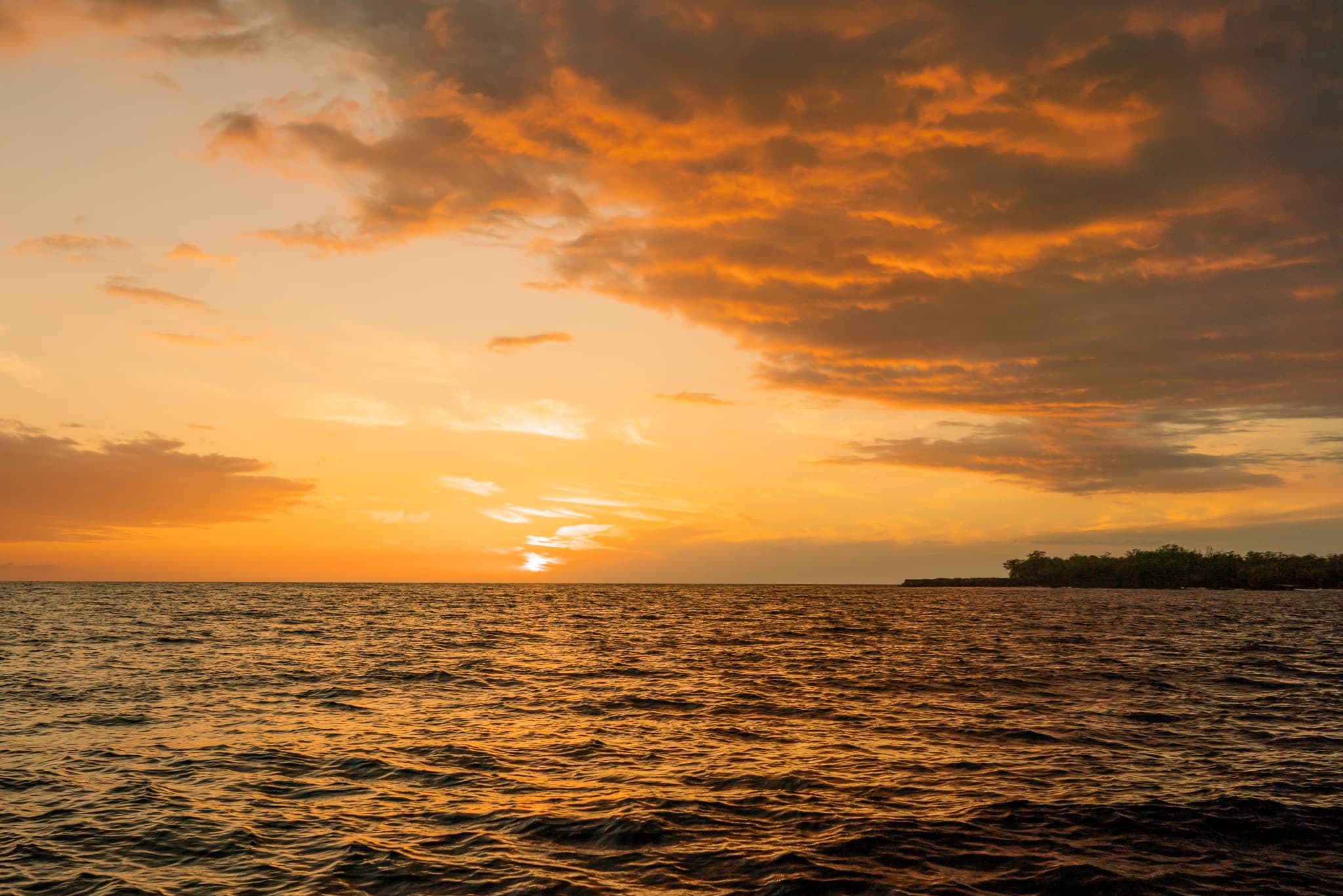 Kona Super-Raft Tours by Body Glove Cruises - image 8
