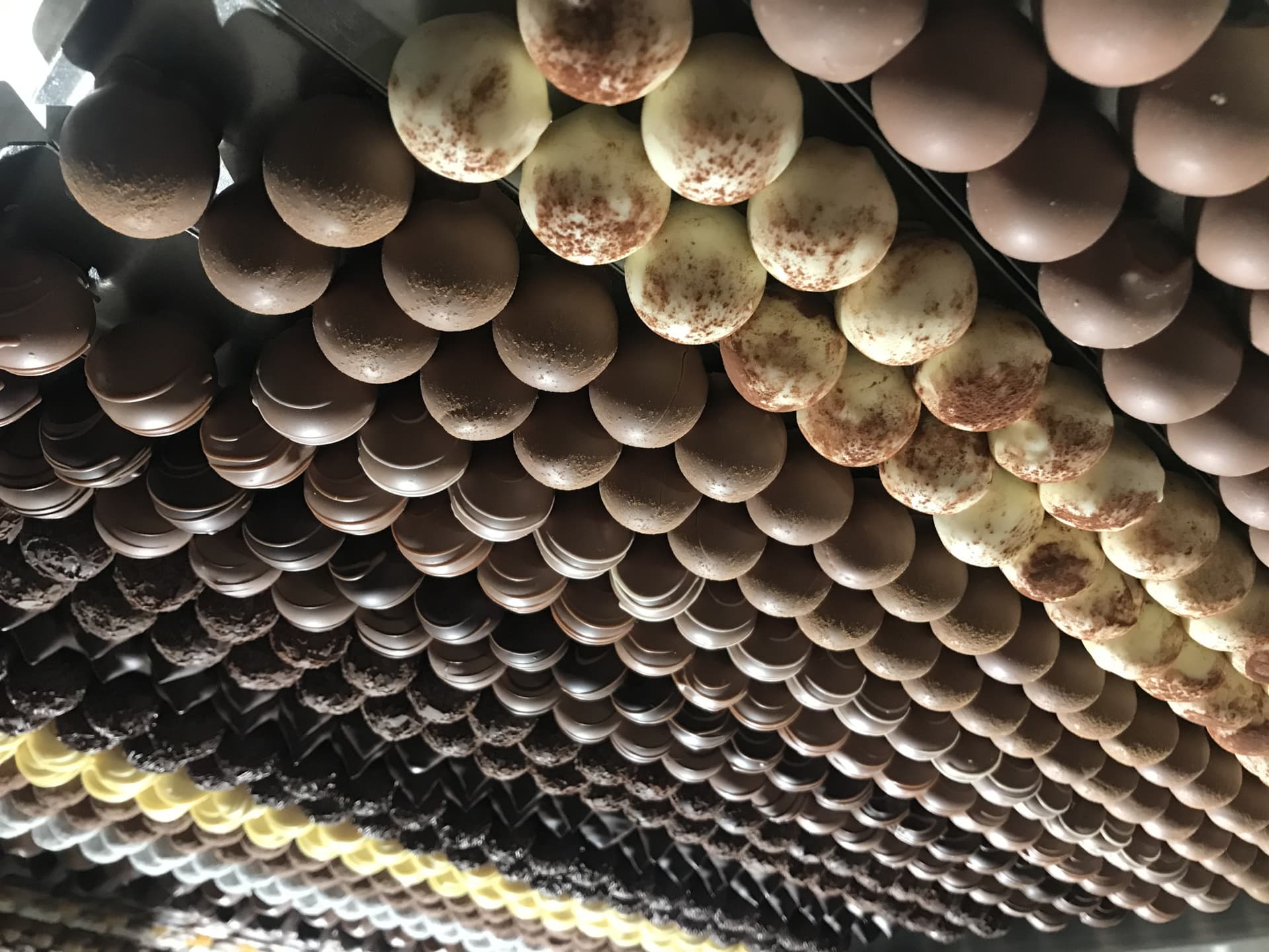 Appenzell Tour from Zurich with Cheese and Chocolate Tasting - image 11