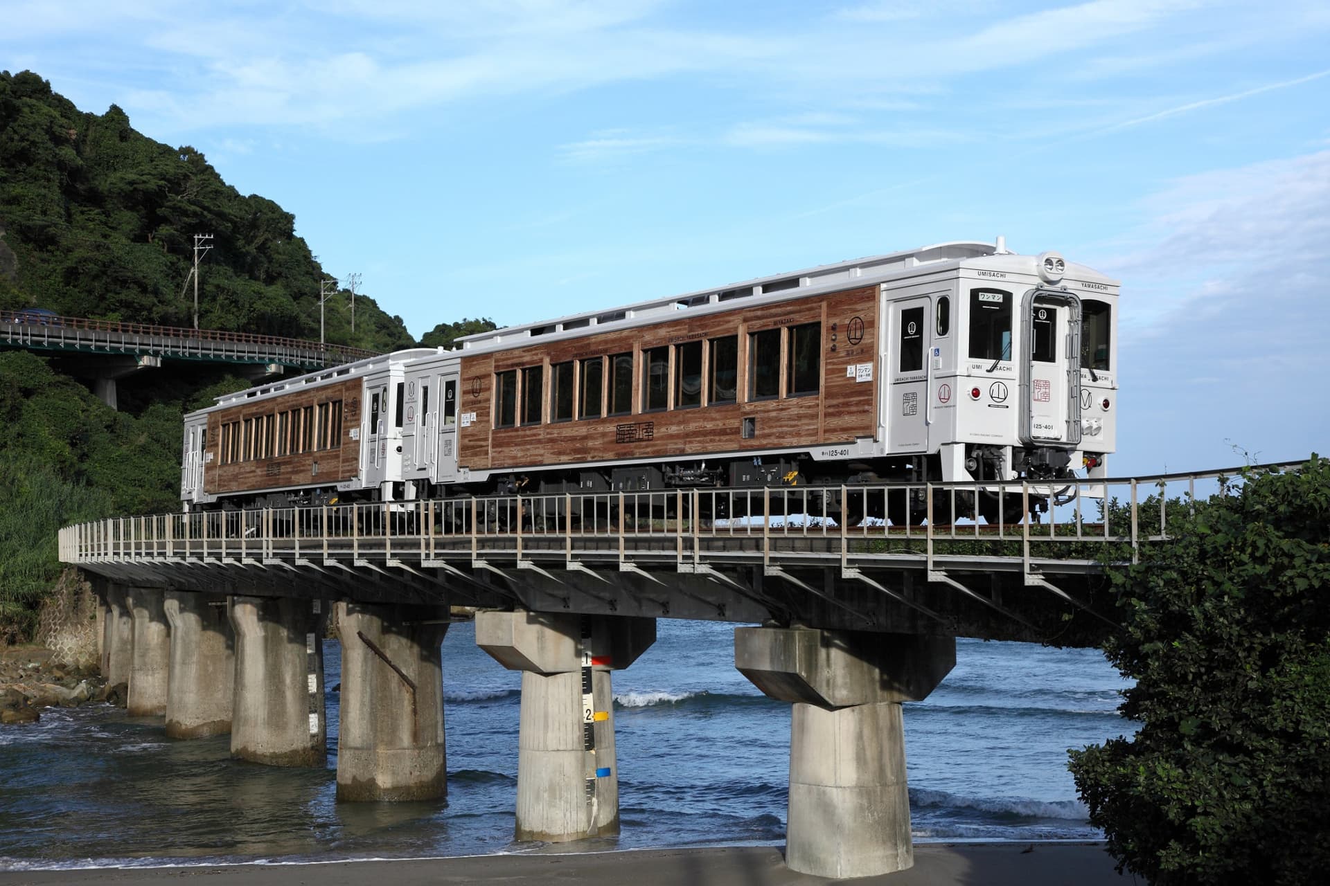 JR Kyushu Rail Pass - image 3
