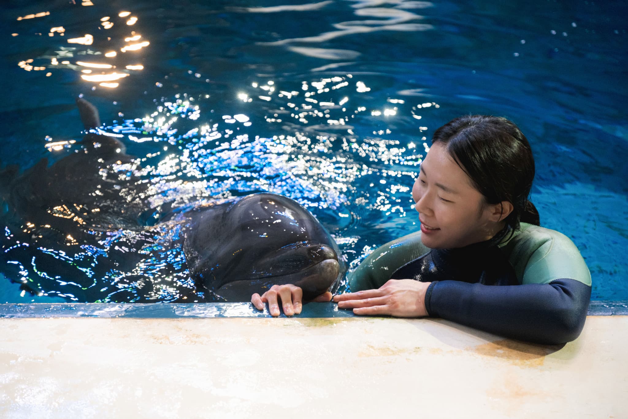 Aqua Planet Jeju Aquarium Ticket - image 9