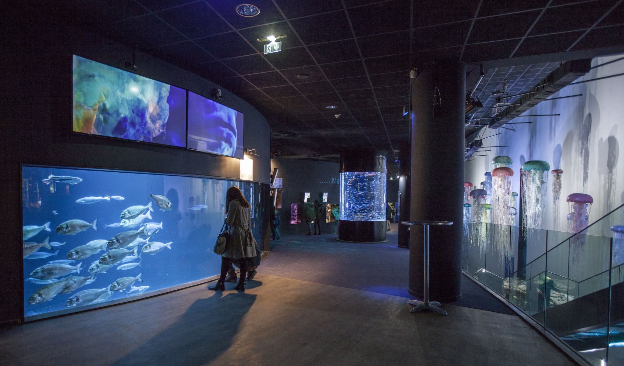 Aquarium de Paris - image 3
