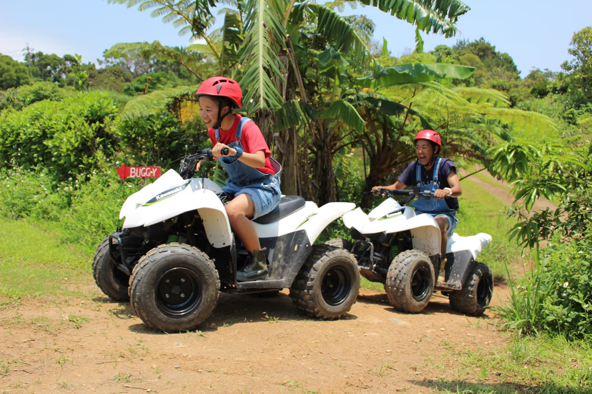 Okinawa ATV Adventure - image 3