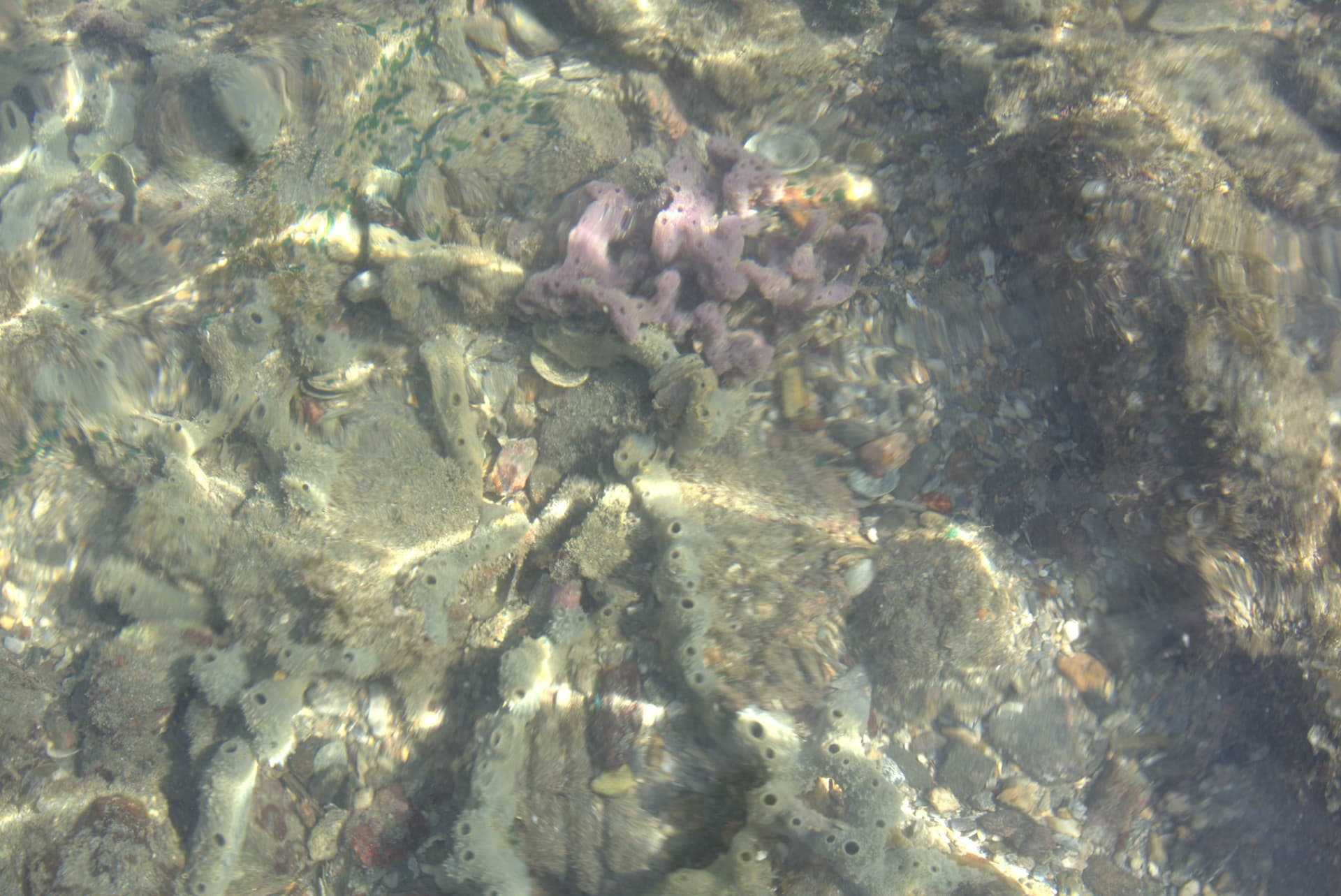 Desaru Beach and Tide Pool Walk - image 36