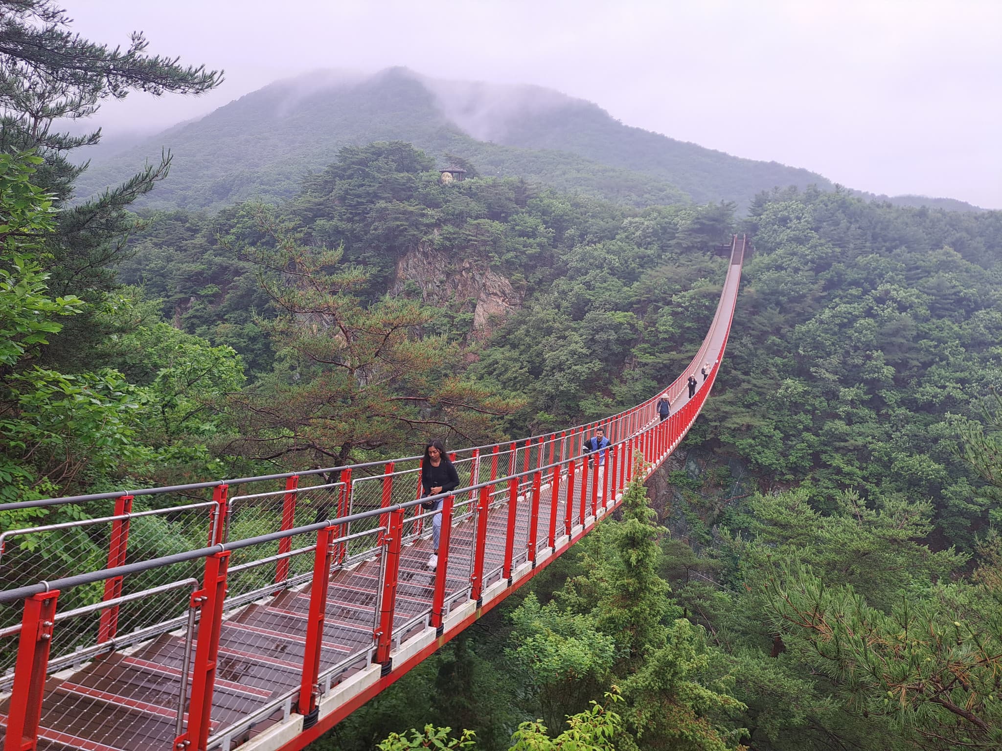 Korean Demilitarized Zone (DMZ) Tour from Seoul - image 12