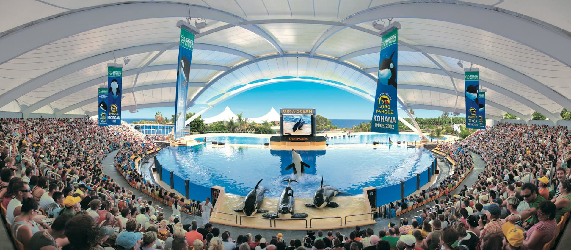 Entrada a Loro Parque - imagen 3