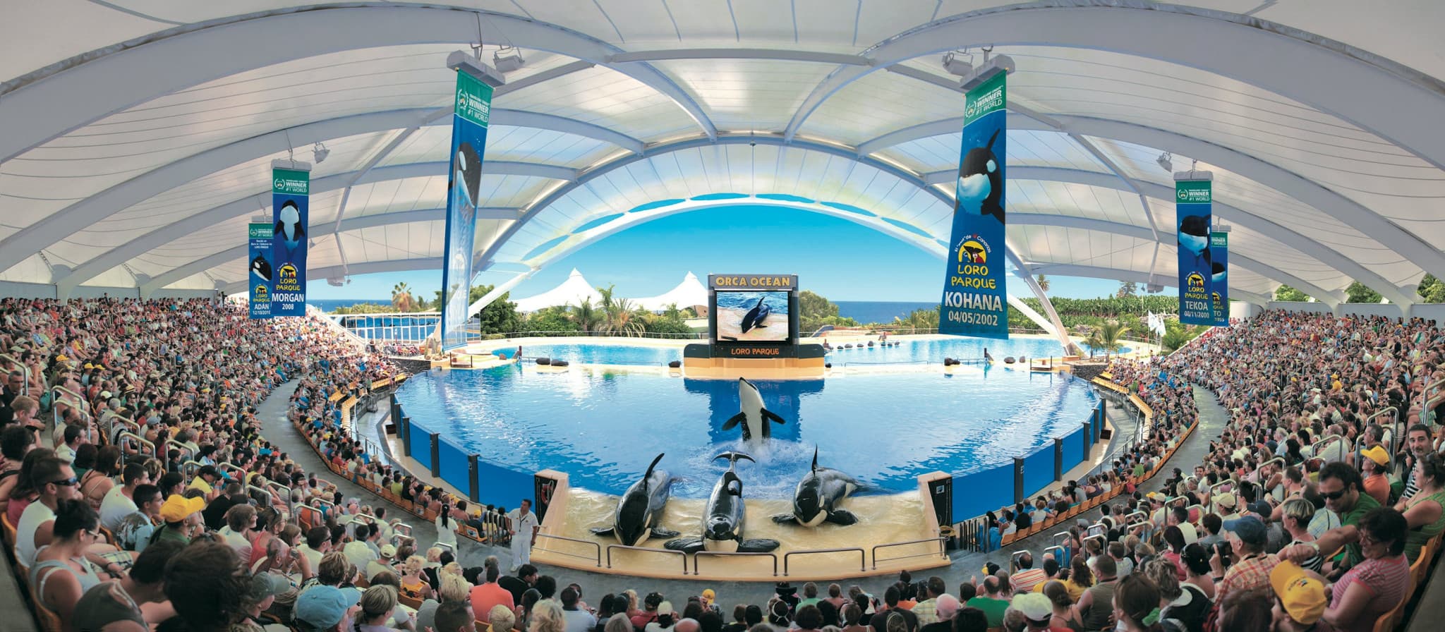 Loro Parque Ticket - image 3