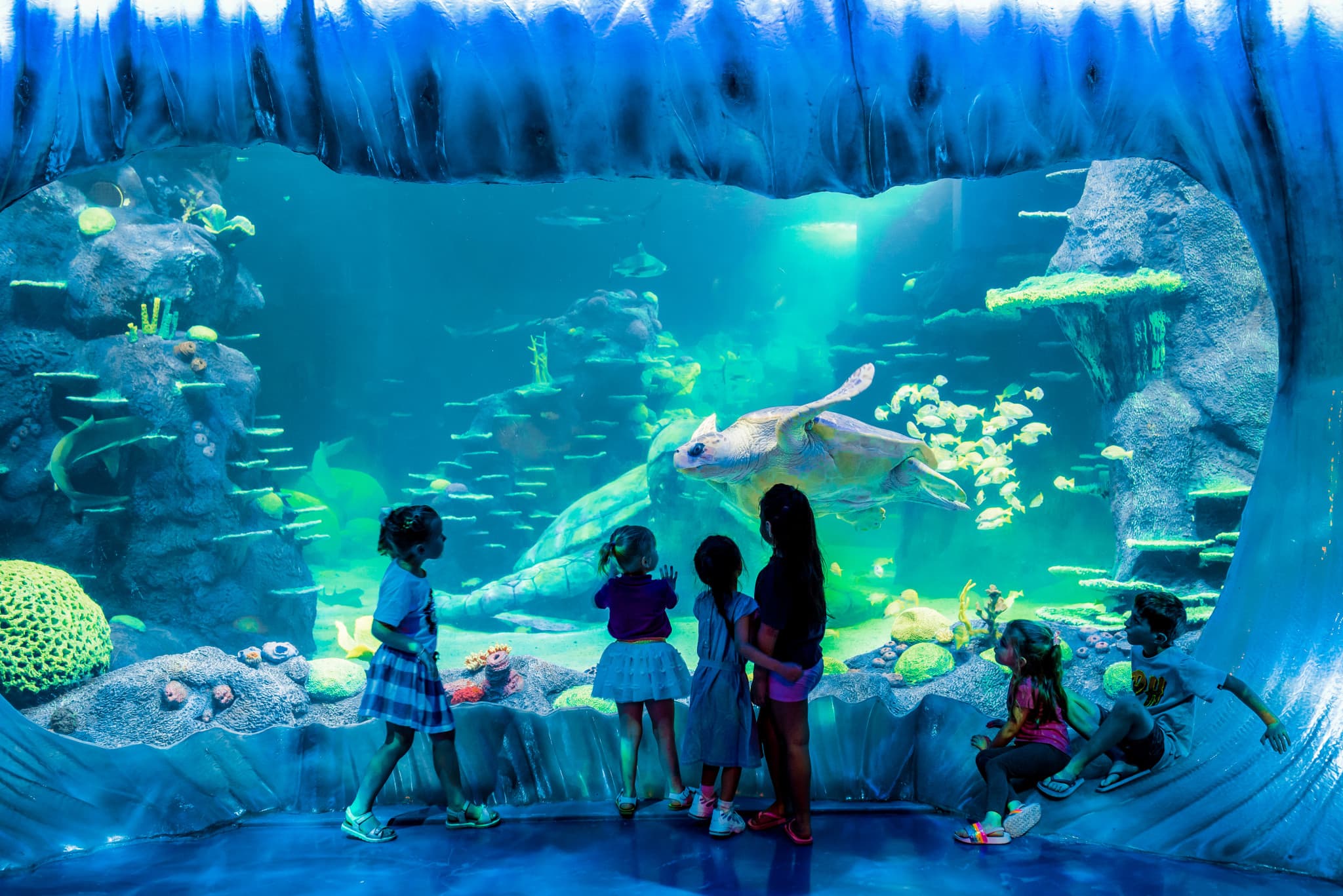 Go City Sydney Explorer Pass: Save up to 50% on Attractions - image 30