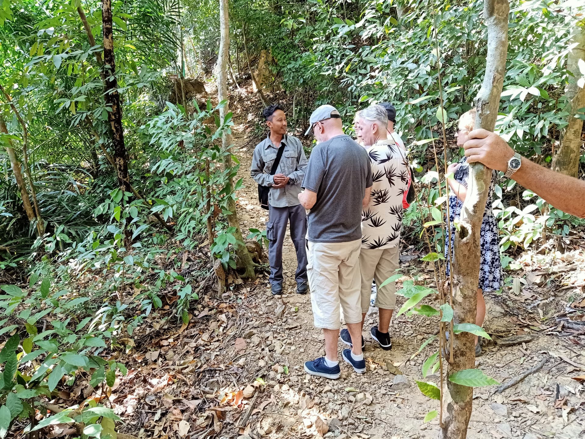Tour a pie matutino por la selva tropical de Langkawi - imagen principal