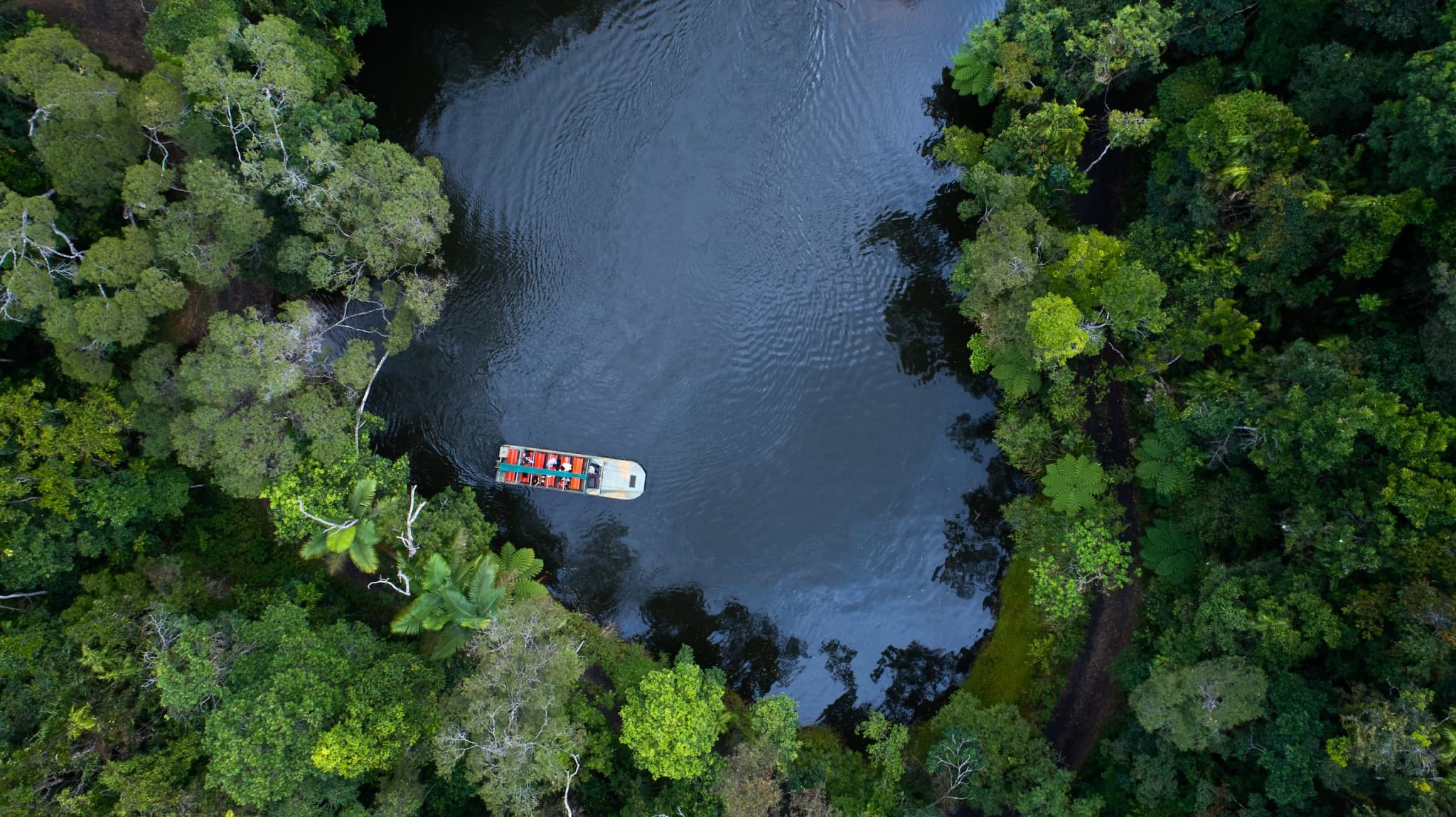Full-Day Kuranda Tour with Skyrail Cableway, Scenic Railway, Rainforestation and Butterfly Sanctuary - image 8