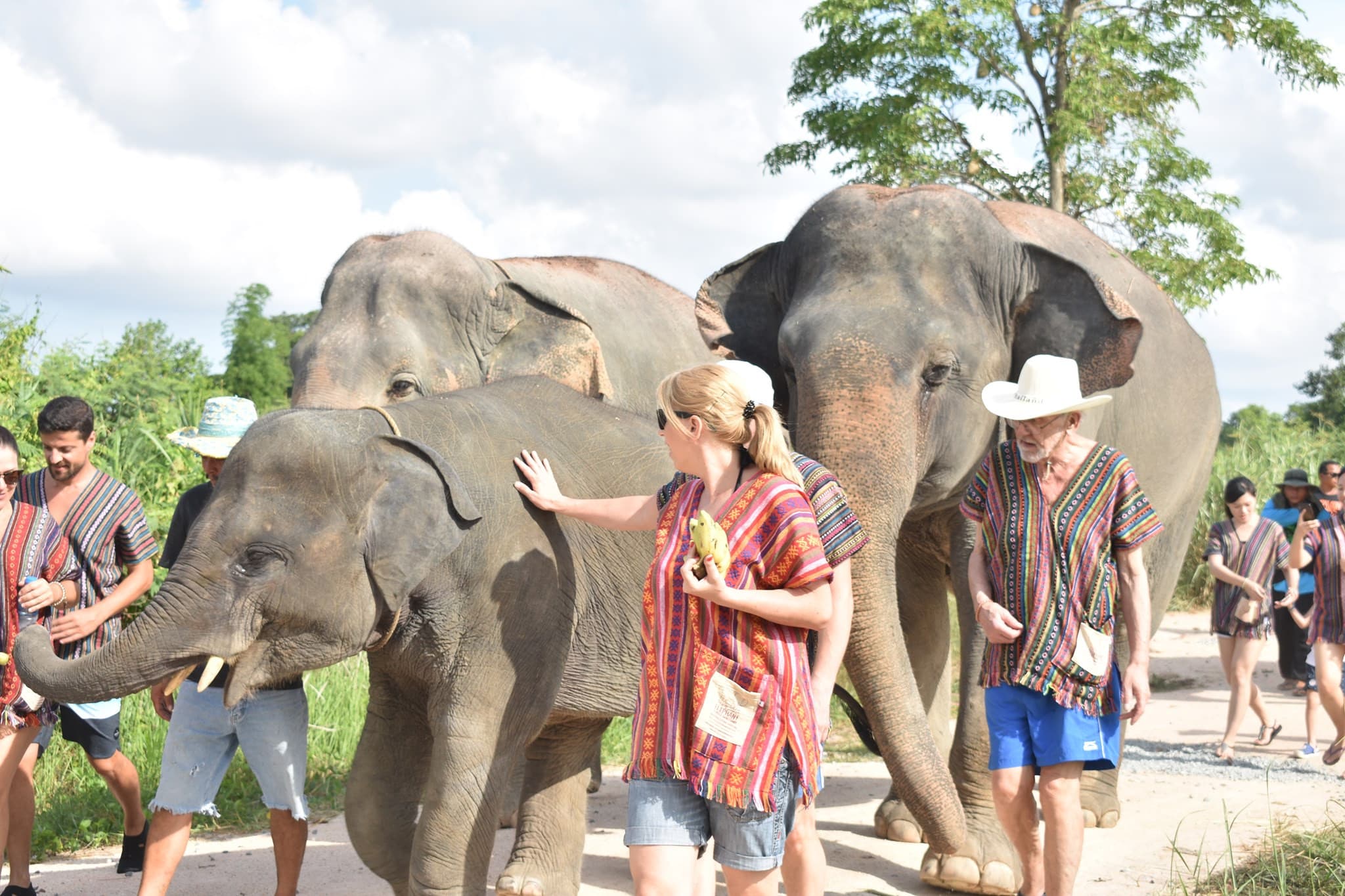 Elephant Jungle Sanctuary Pattaya - image 4
