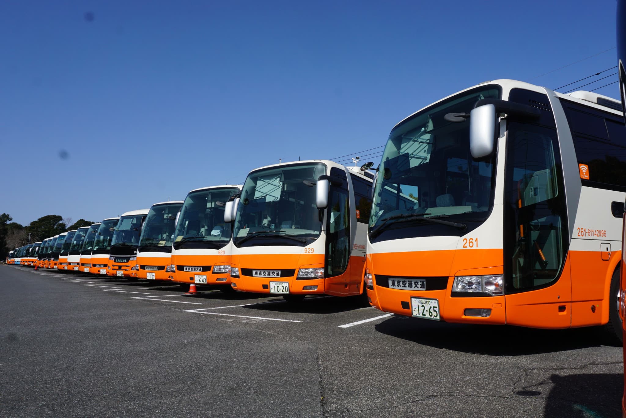 Haneda Airport Limousine Bus Transfers - image 4