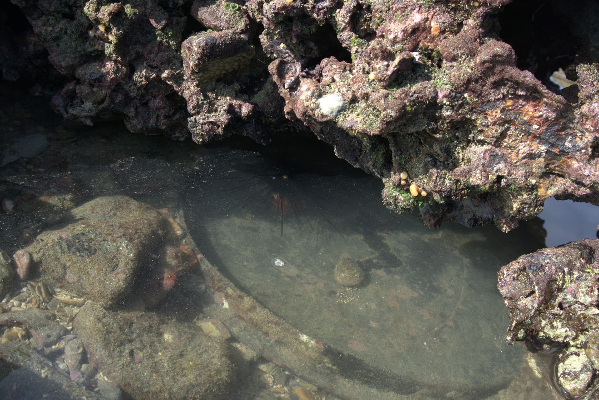 Desaru Beach and Tide Pool Walk - image 37