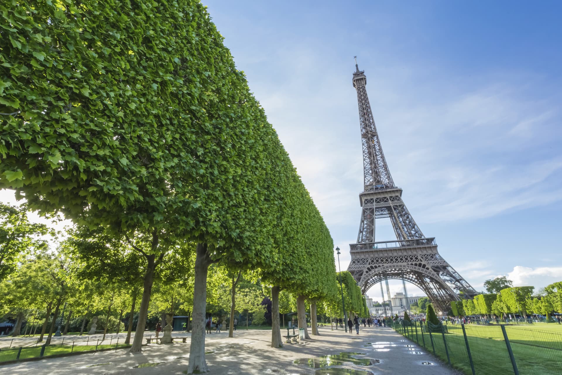 Paris Open-Top Bus Tour and Eiffel Tower Reserved Access - imagen principal