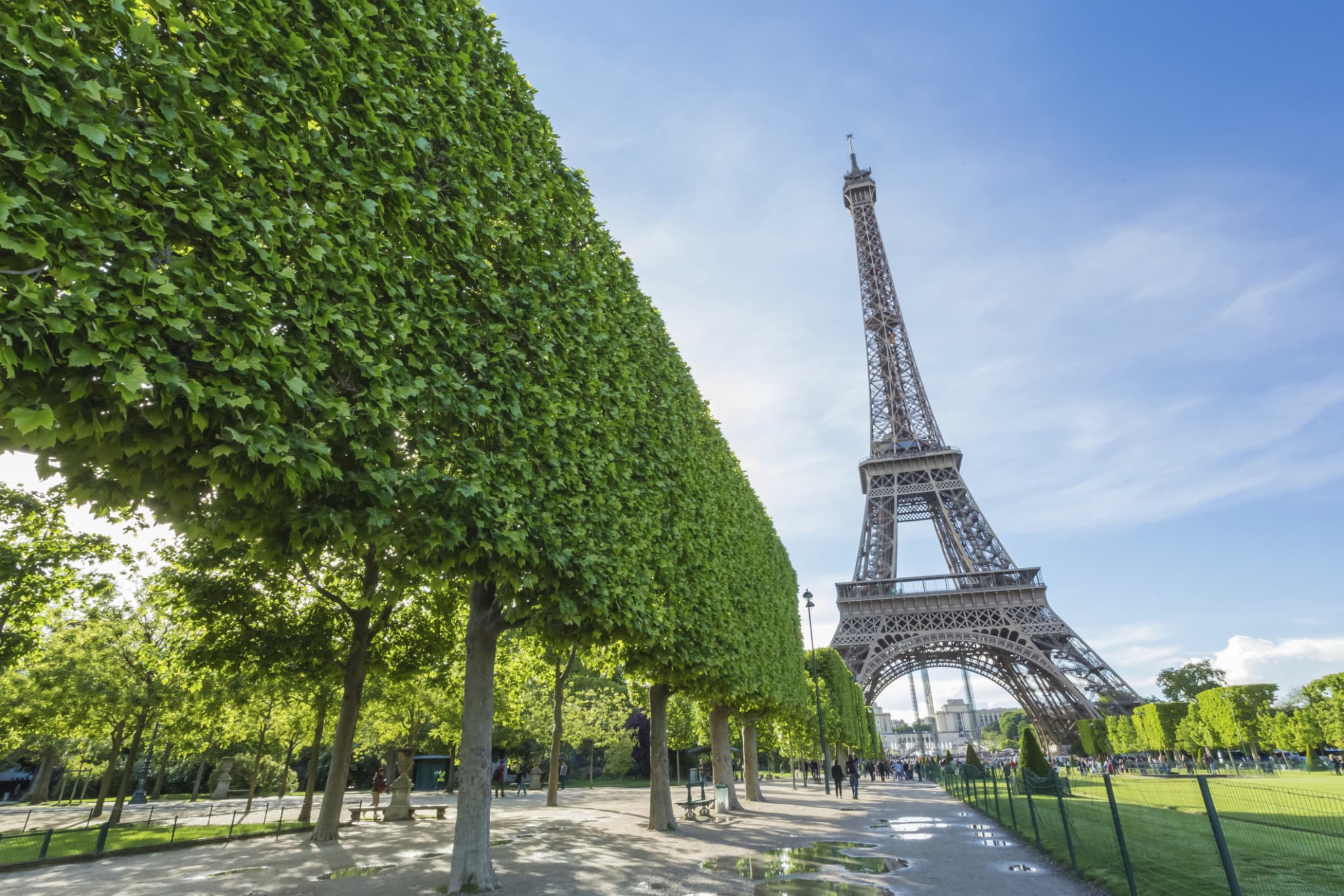 Paris Open-Top Bus Tour and Eiffel Tower Reserved Access - main image