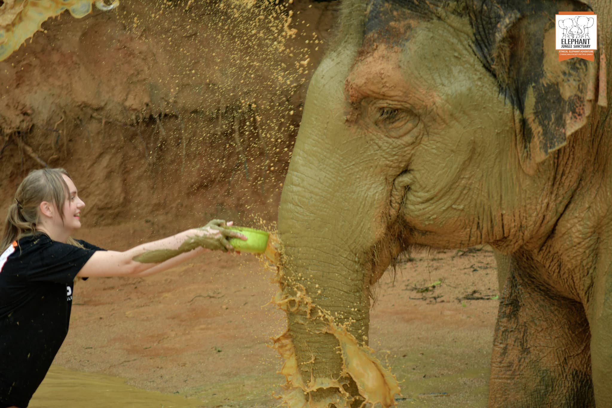Elephant Jungle Sanctuary Phuket - image 17