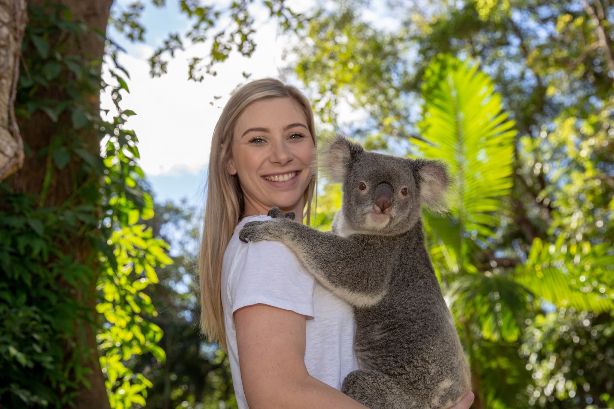 Currumbin Wildlife Sanctuary Gold Coast Ticket - image 2