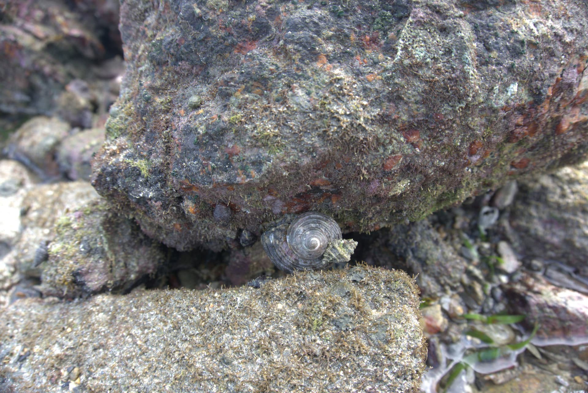 Desaru Beach and Tide Pool Walk - image 29