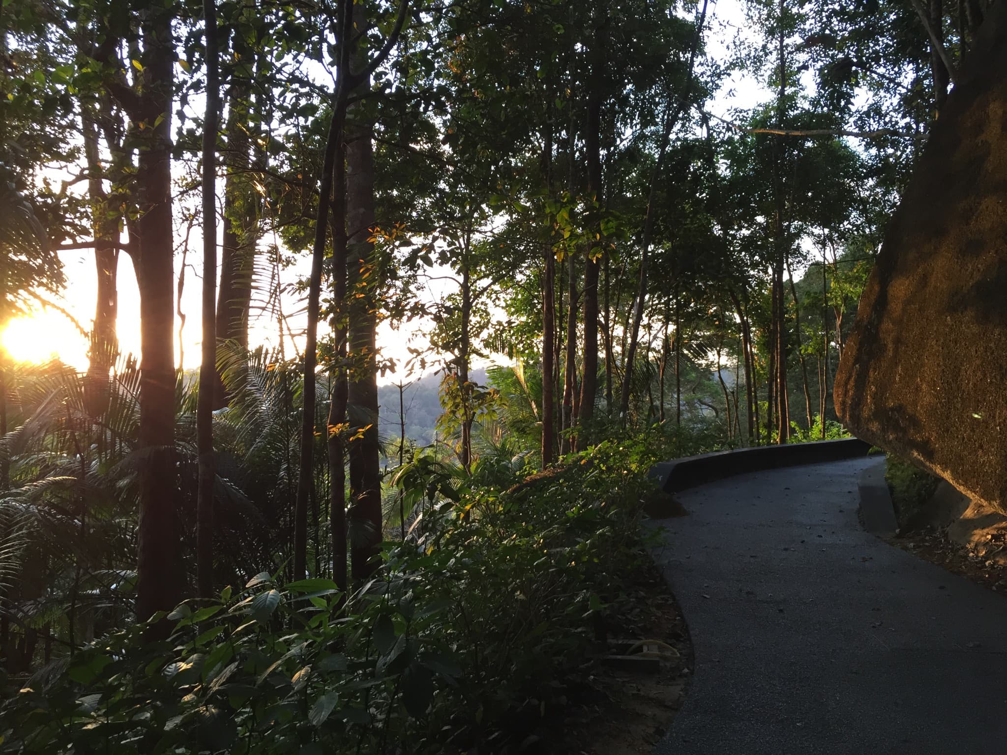 The Habitat Penang Hill Ticket - image 14