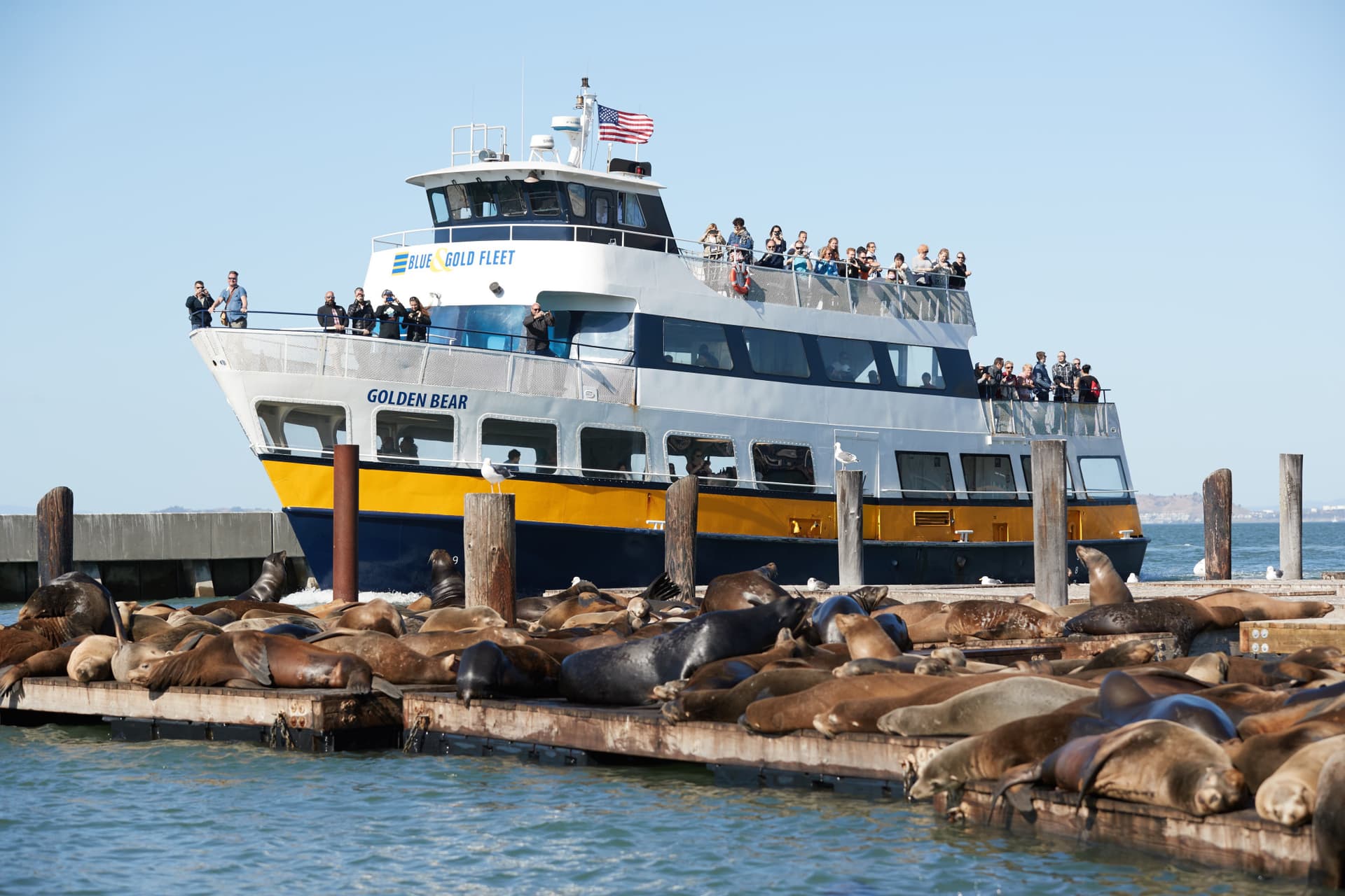 Go City San Francisco All-Inclusive Pass: Save up to 50% on Attractions - image 25