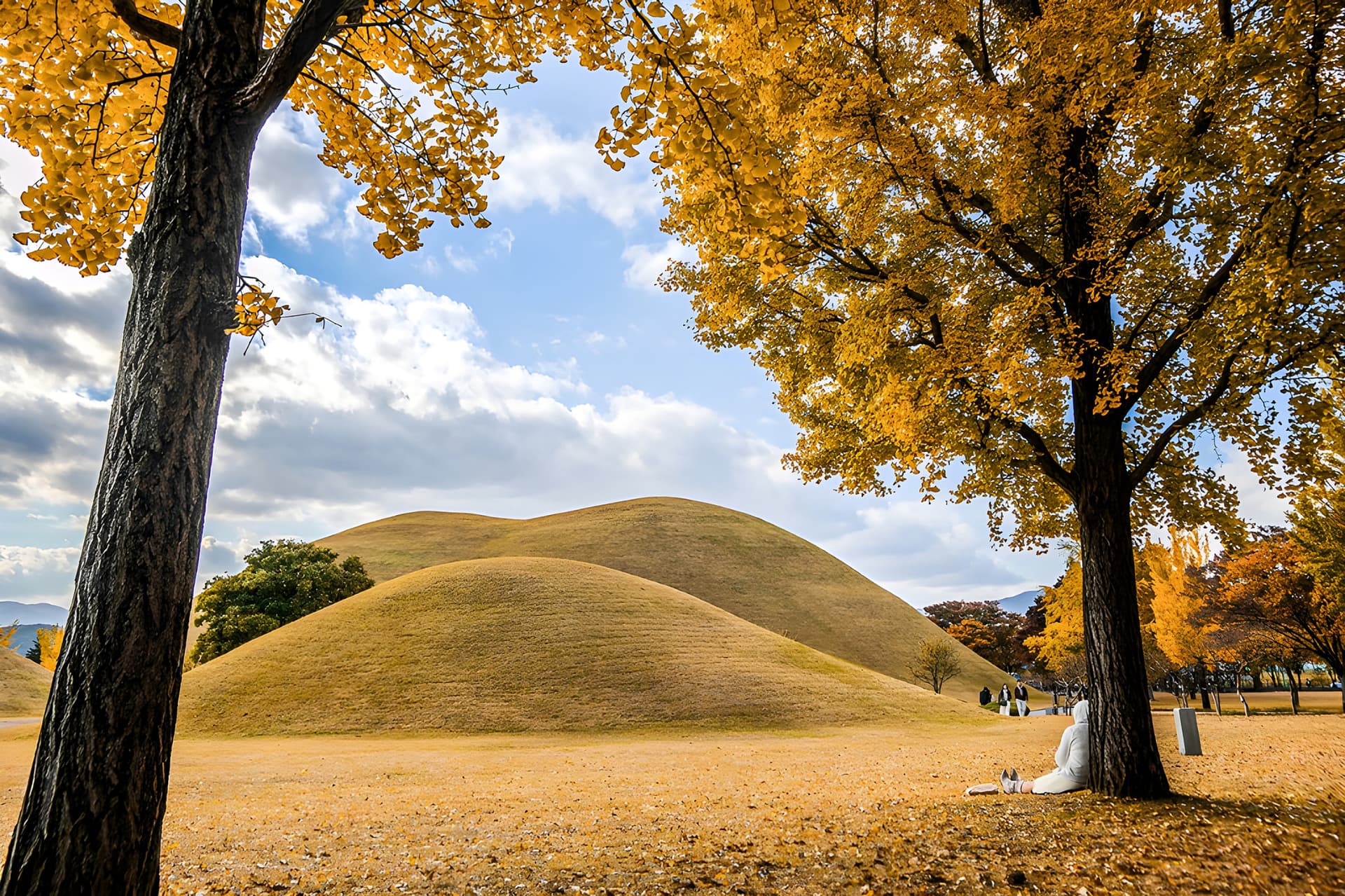 Gyeongju Autumn Foliage One Day Tour from Busan - image 5