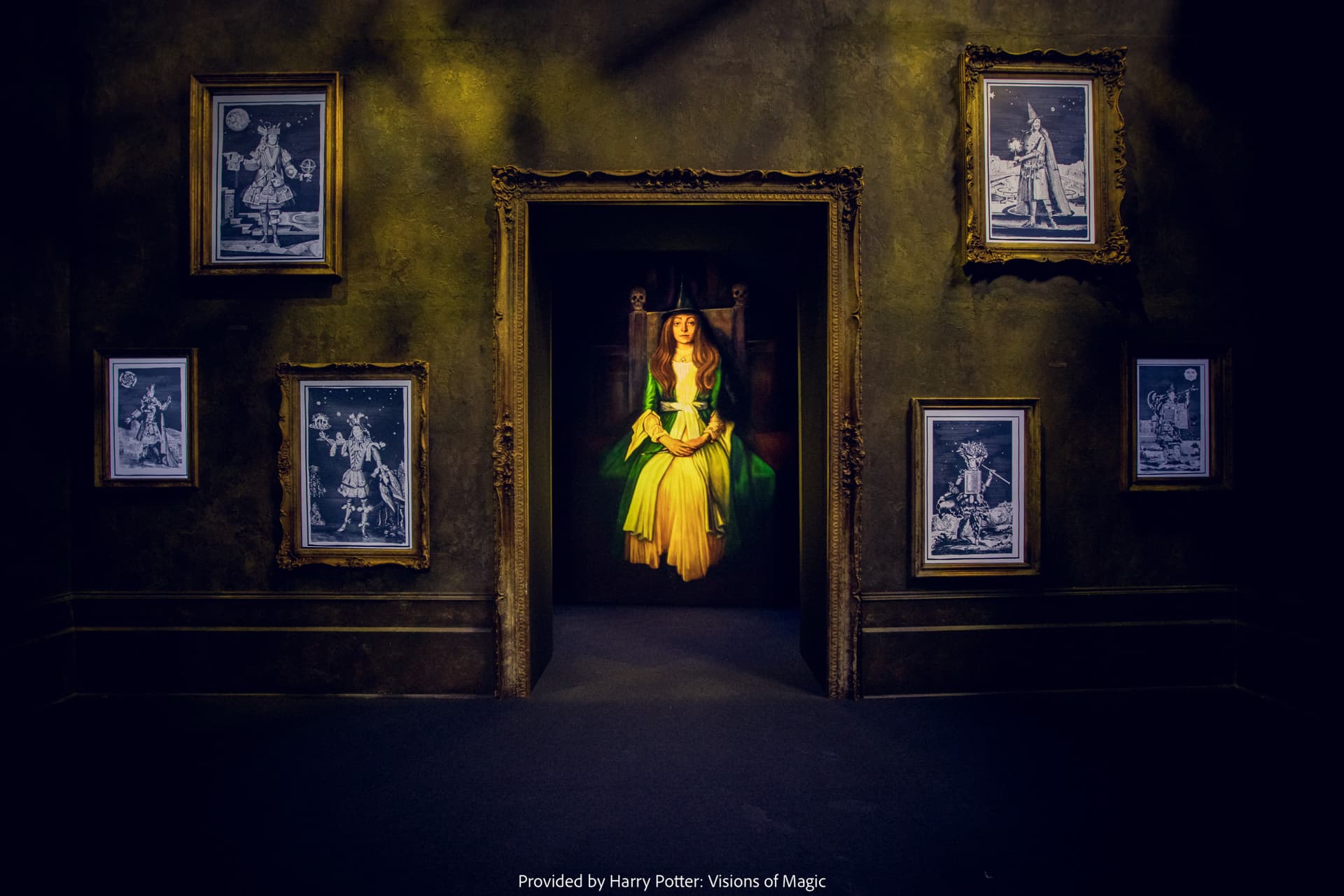 Harry Potter: Visions of Magic - image 15