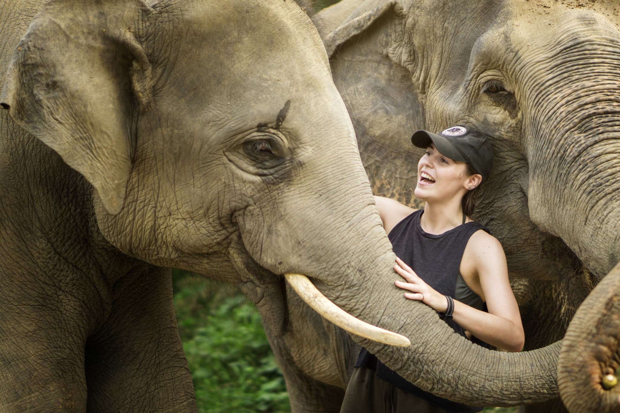 Elephant Jungle Sanctuary Pattaya - image 3