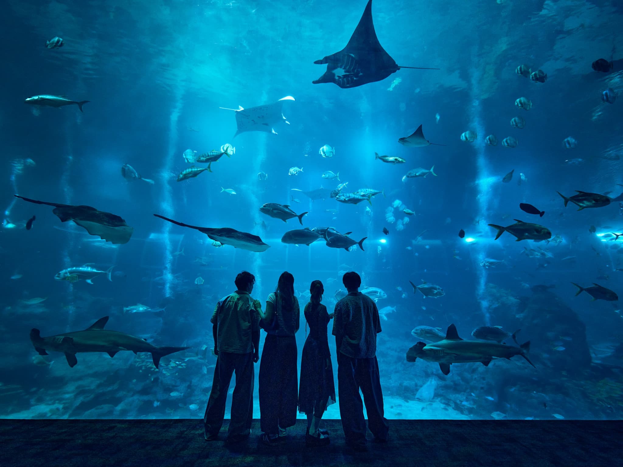Singapore Oceanarium Ticket - image 9