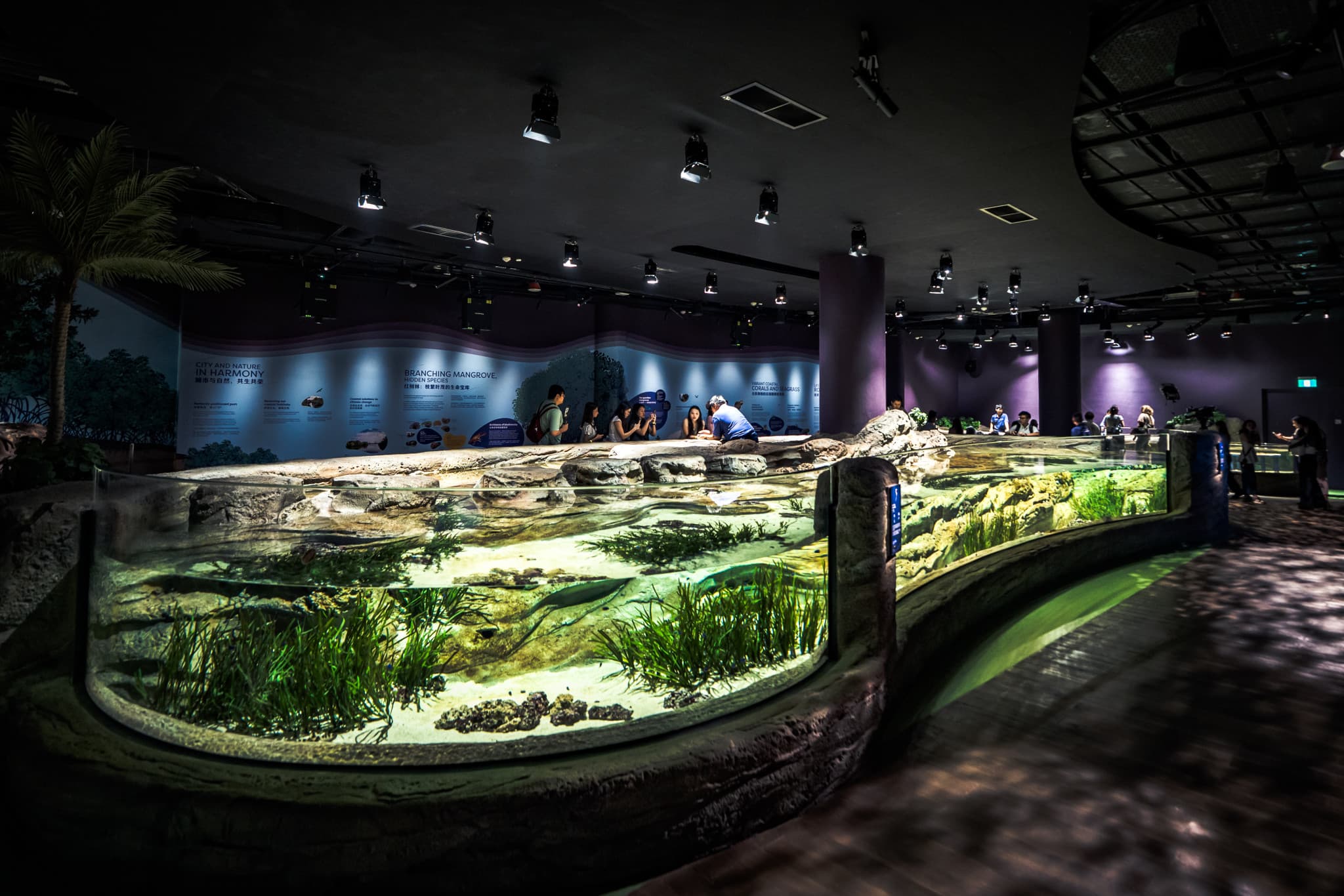 COMBO: Singapore Cable Car + Singapore Oceanarium + Albatross Hop-On Hop-Off Speedboat Tickets - image 4