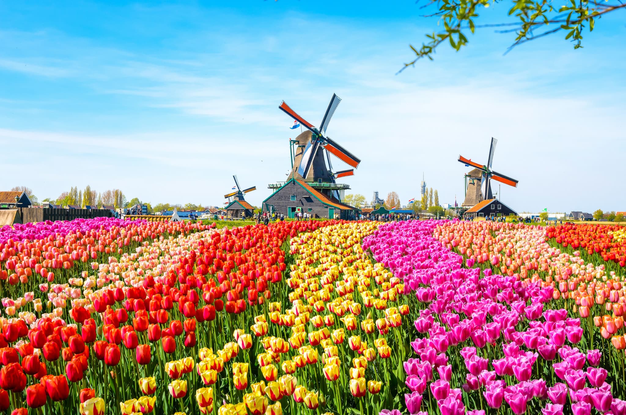Go City Amsterdam Explorer Pass: Save up to 50% on Attractions - image 28