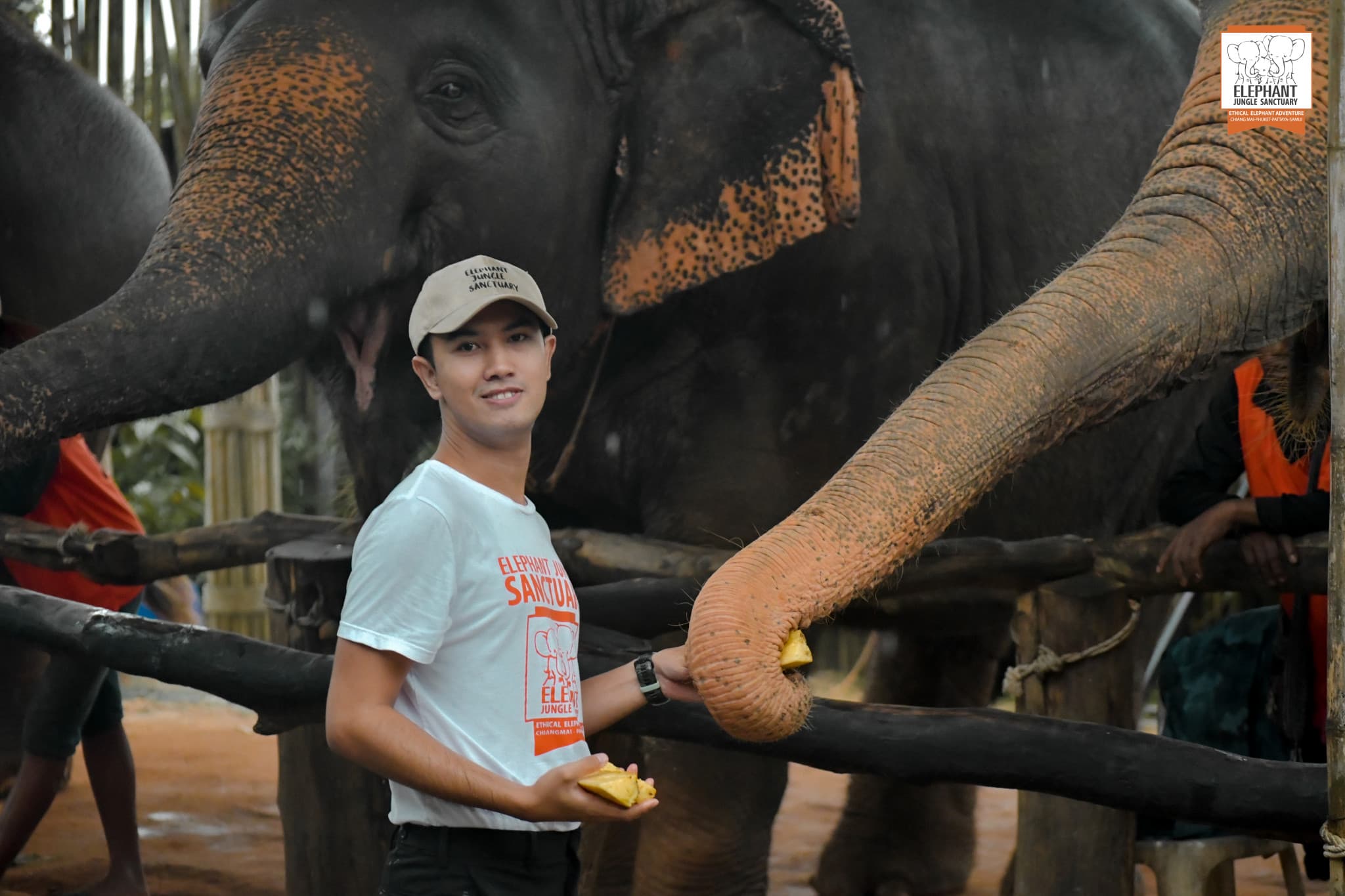 Elephant Jungle Sanctuary Phuket - image 13
