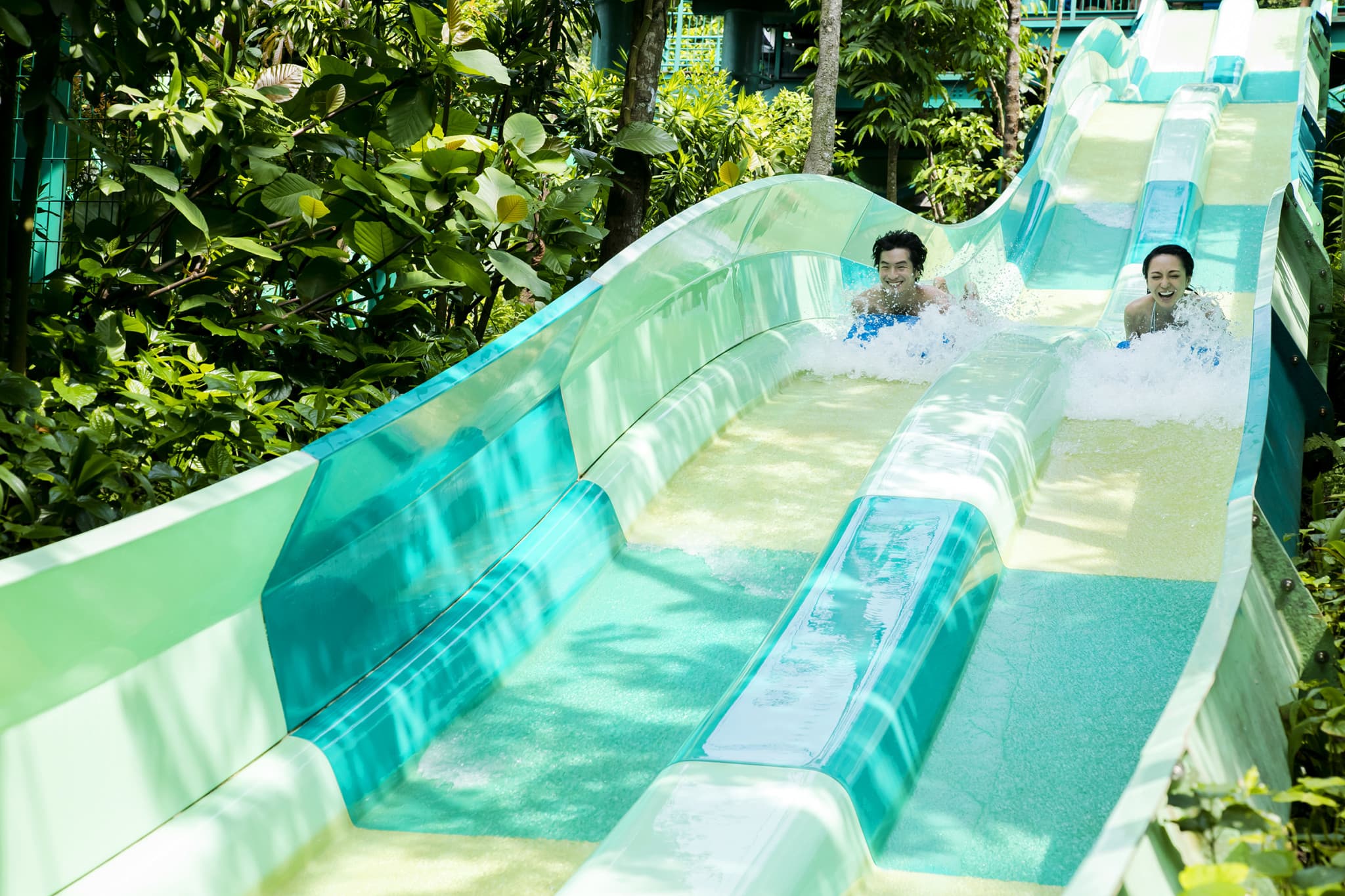 Adventure Cove Waterpark‎ Express Pass - image 7