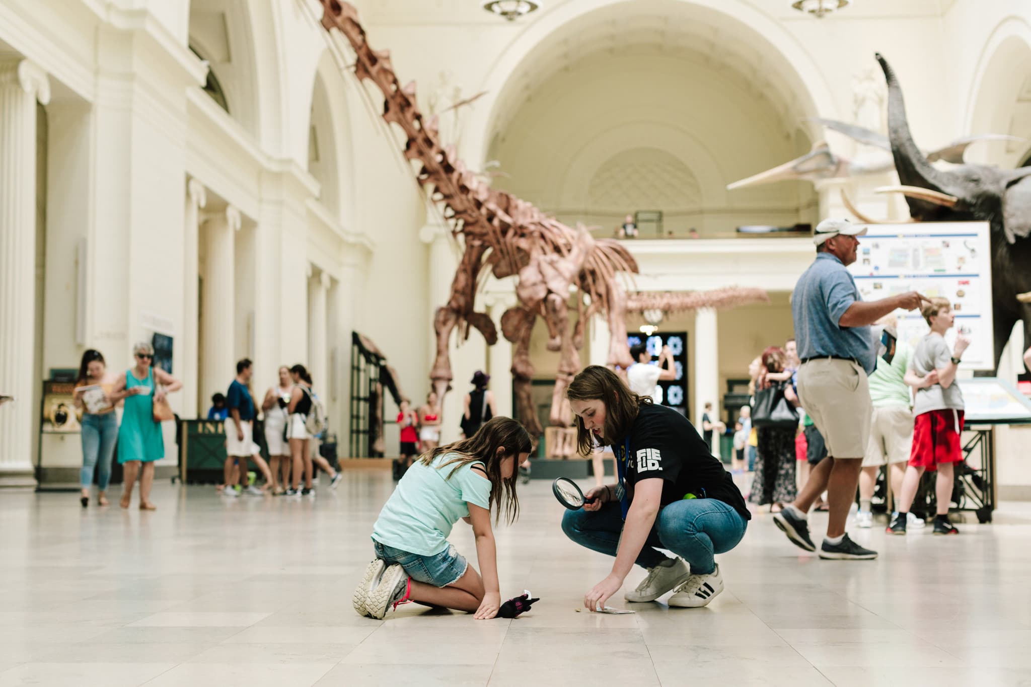 Go City Chicago Explorer Pass: Save up to 50% on Attractions - image 29