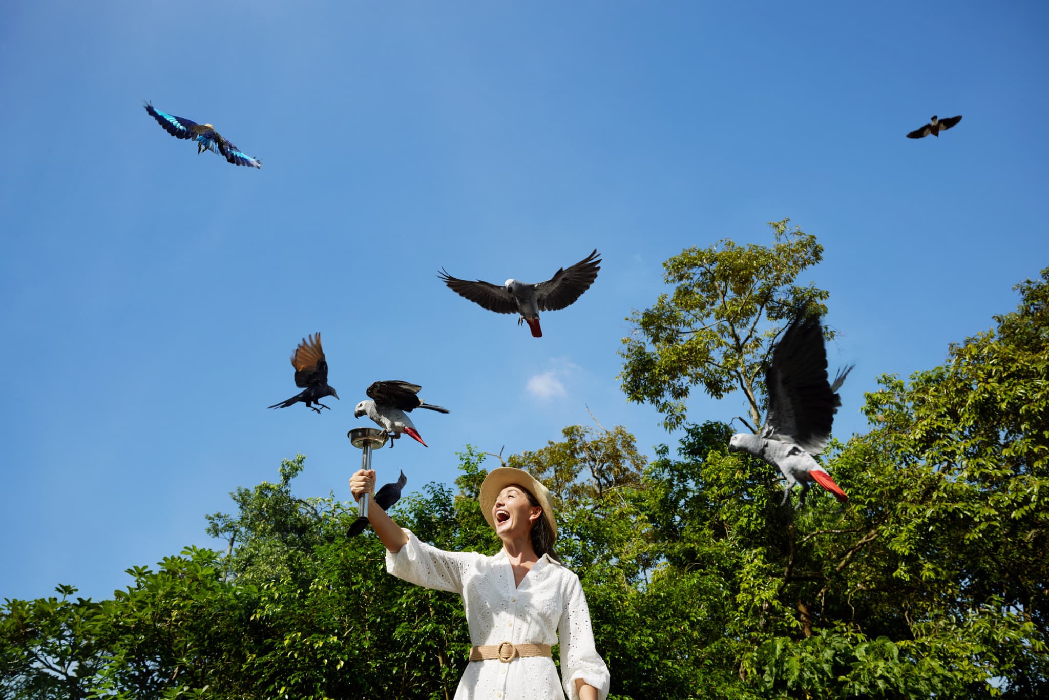 Singapore Bird Paradise Ticket - image 5