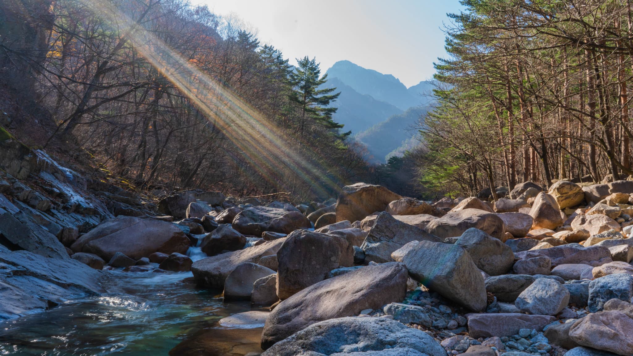 Mount Seorak and Naksansa Temple Tour from Seoul - image 2