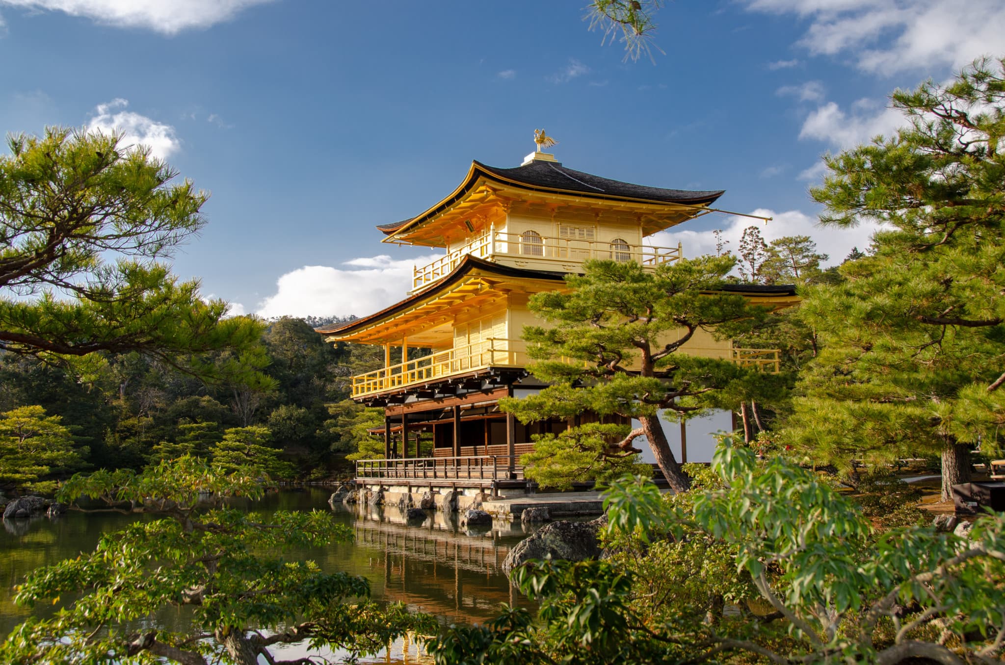 Kyoto and Nara Full-Day Tour from Kyoto - image 2