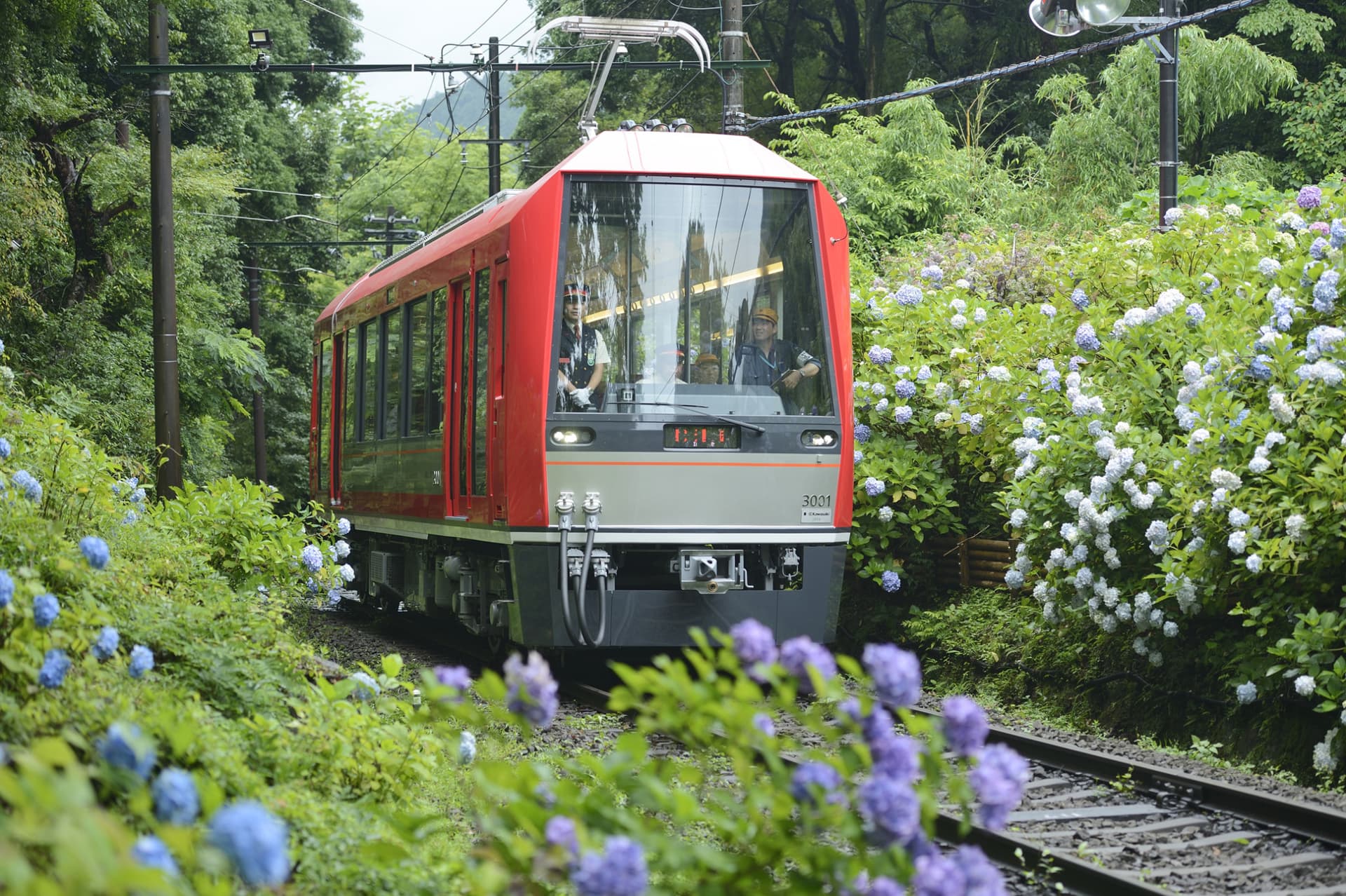 Fuji Hakone Pass - imagen 2