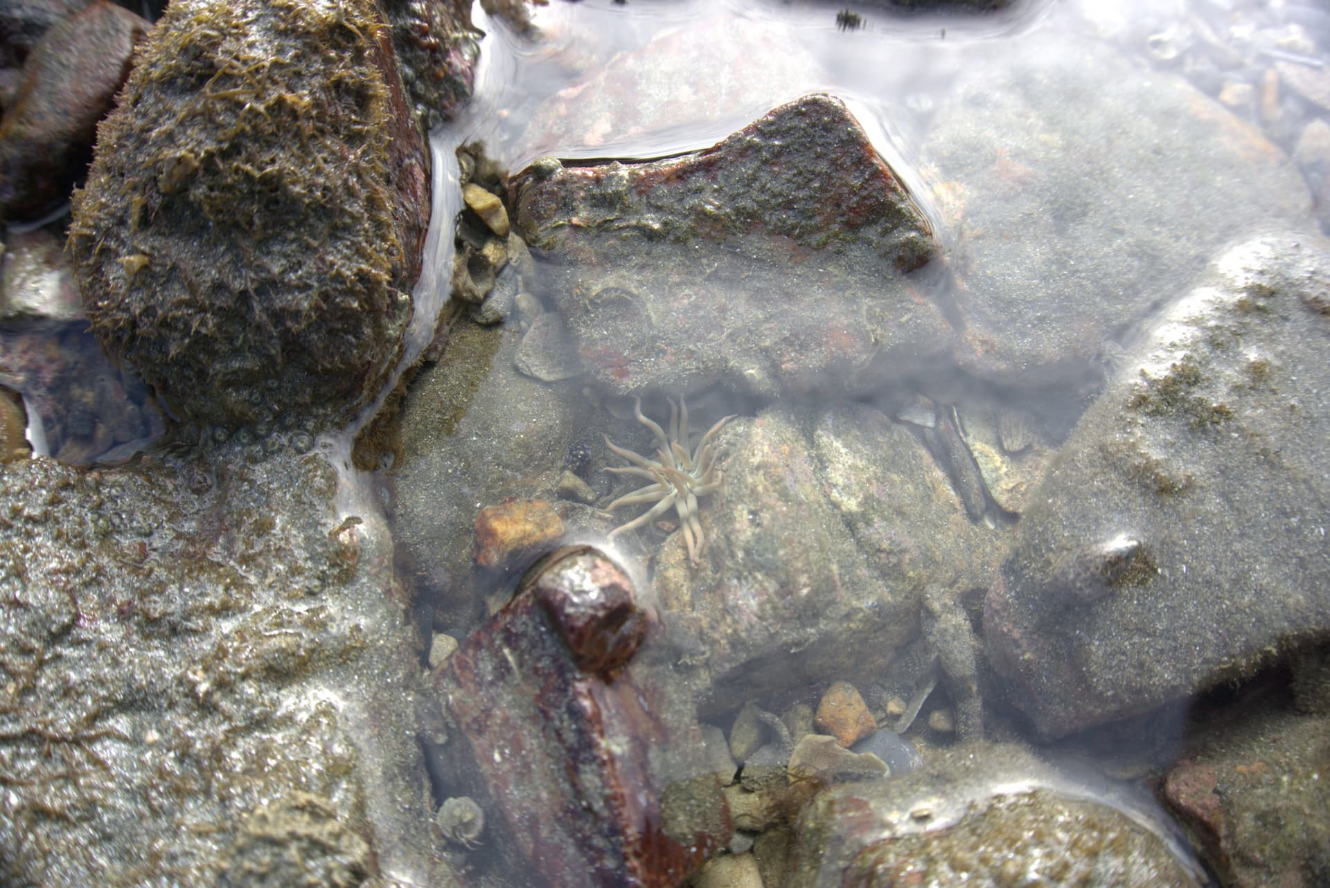 Desaru Beach and Tide Pool Walk - image 33