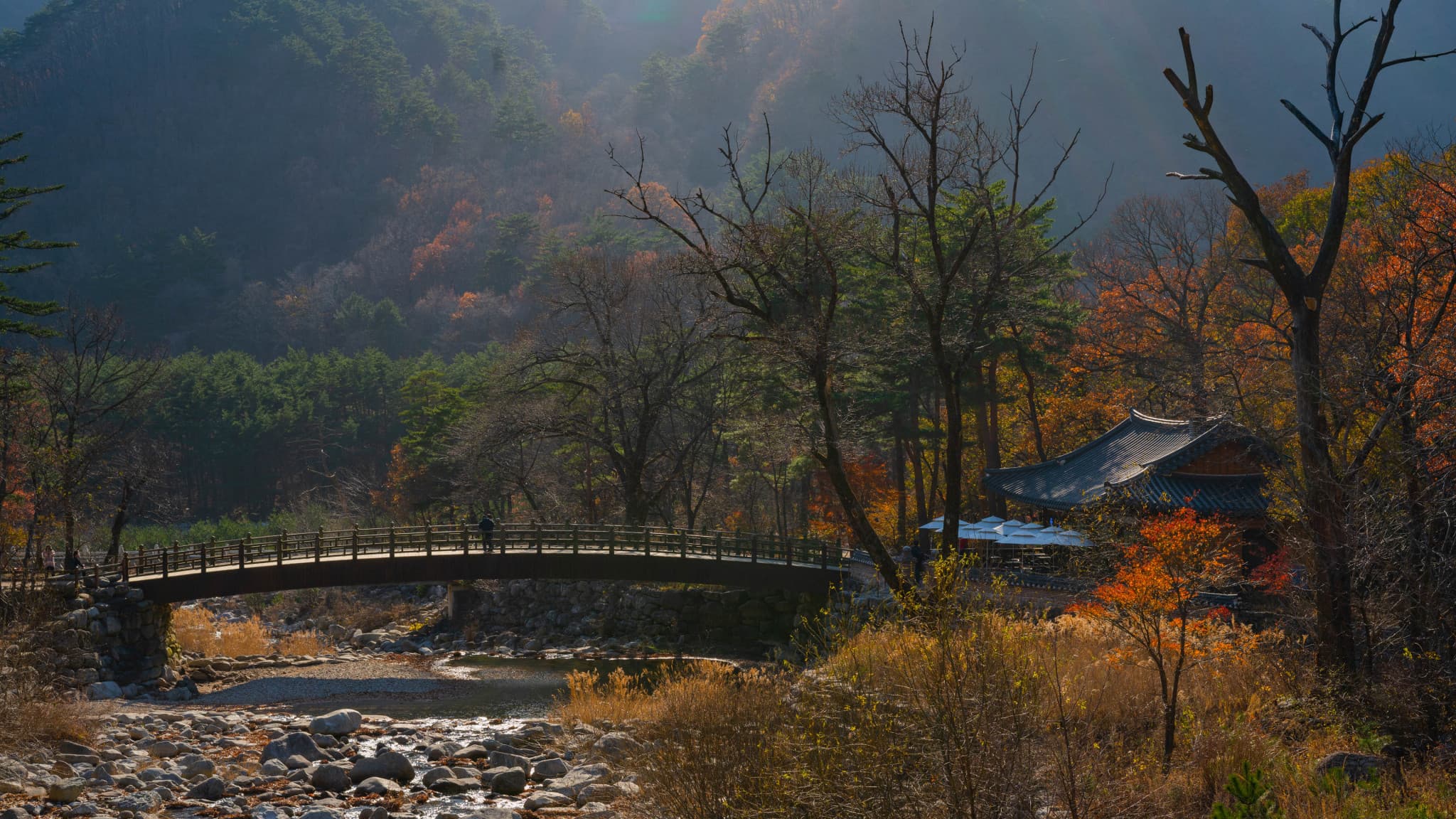 Mount Seorak and Naksansa Temple Tour from Seoul - main image