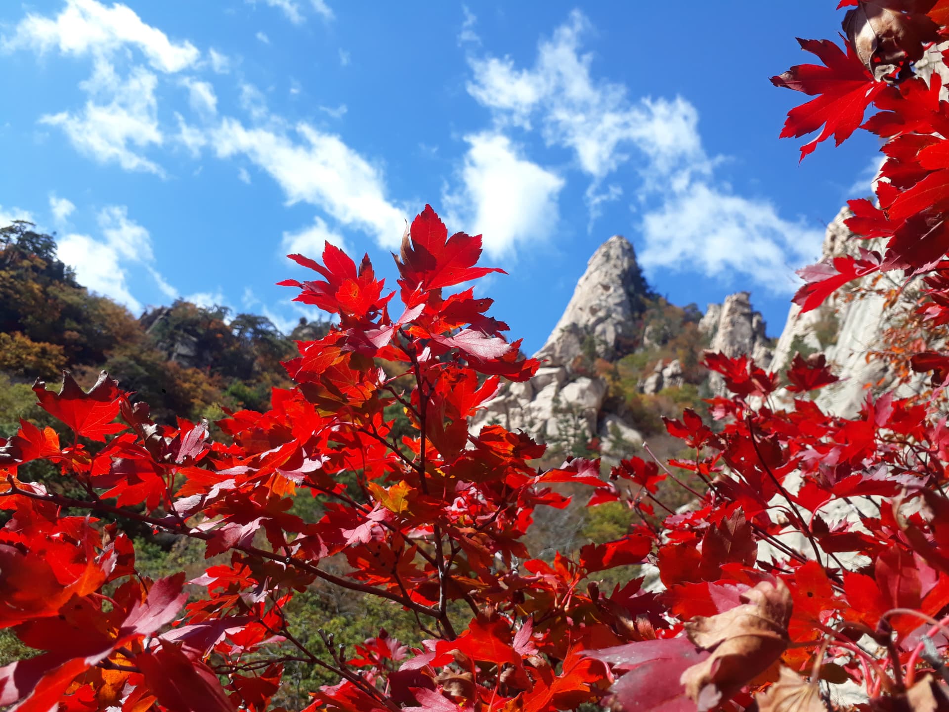 Nami Island and Mount Seorak Full-Day Tour from Seoul - 이미지 4
