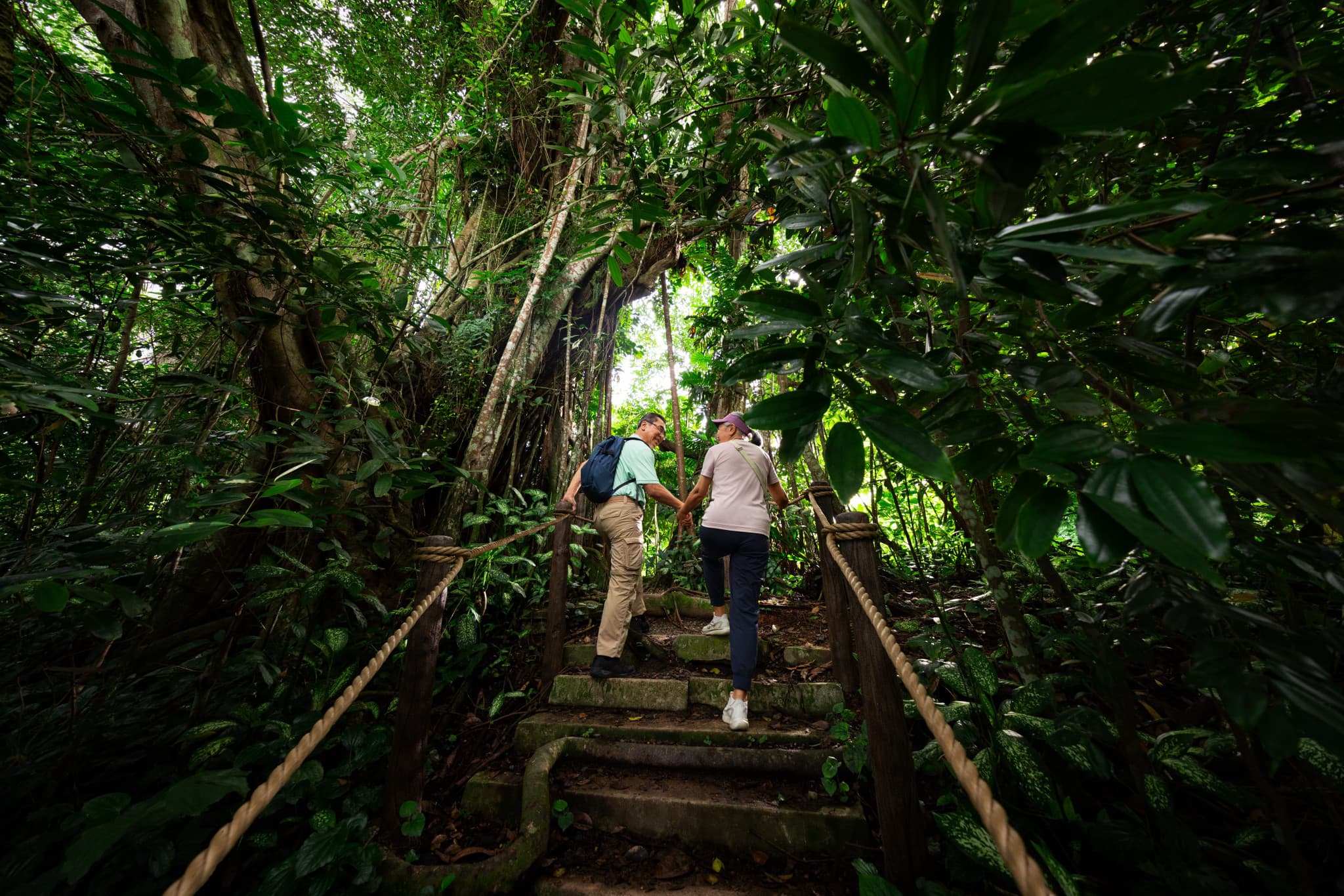 5-in-1 Day Pass: Night Safari + Singapore Zoo + Bird Paradise + River Wonders + Rainforest Adventure - image 10