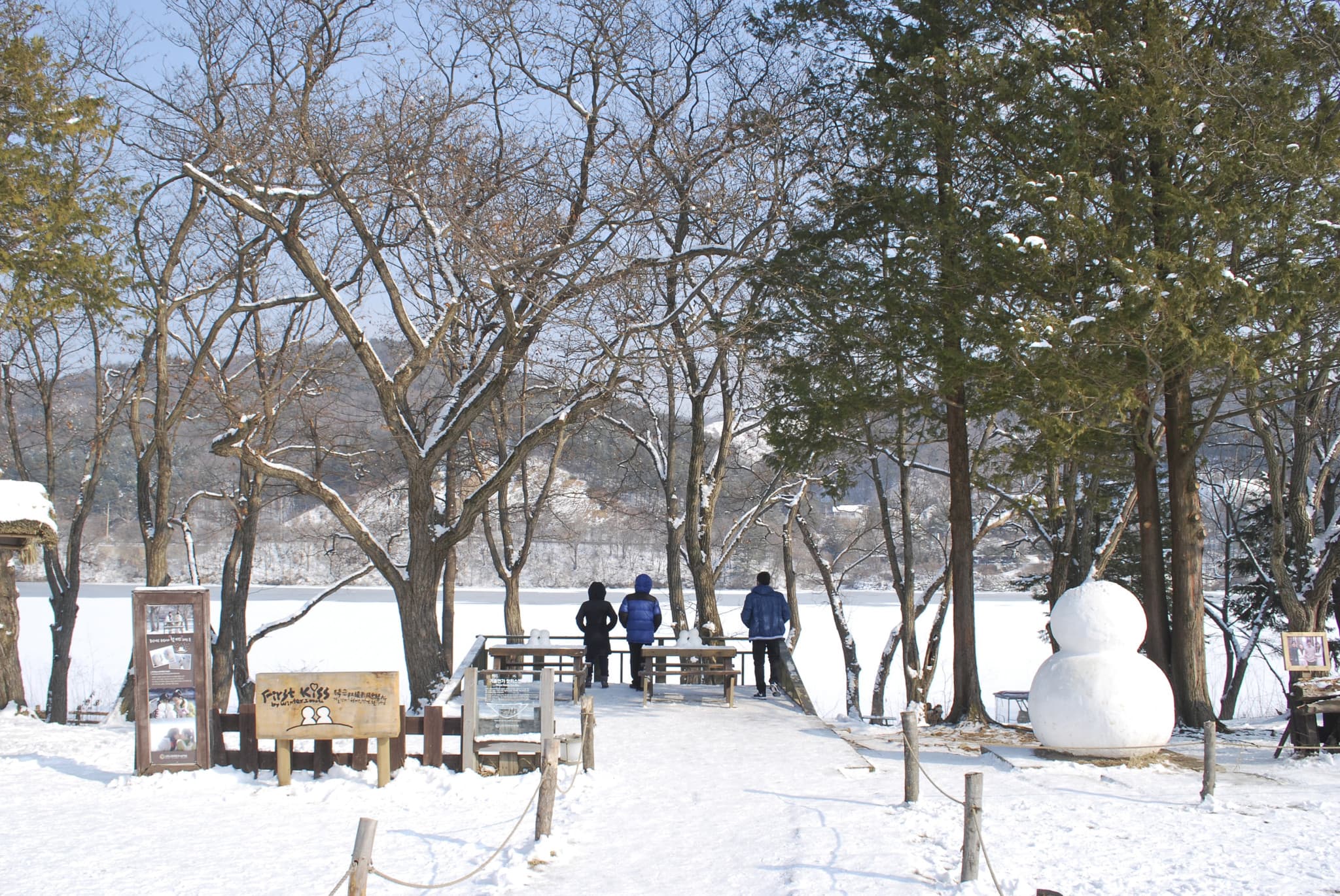 Nami Island and Garden of Morning Calm Tour from Seoul - image 5