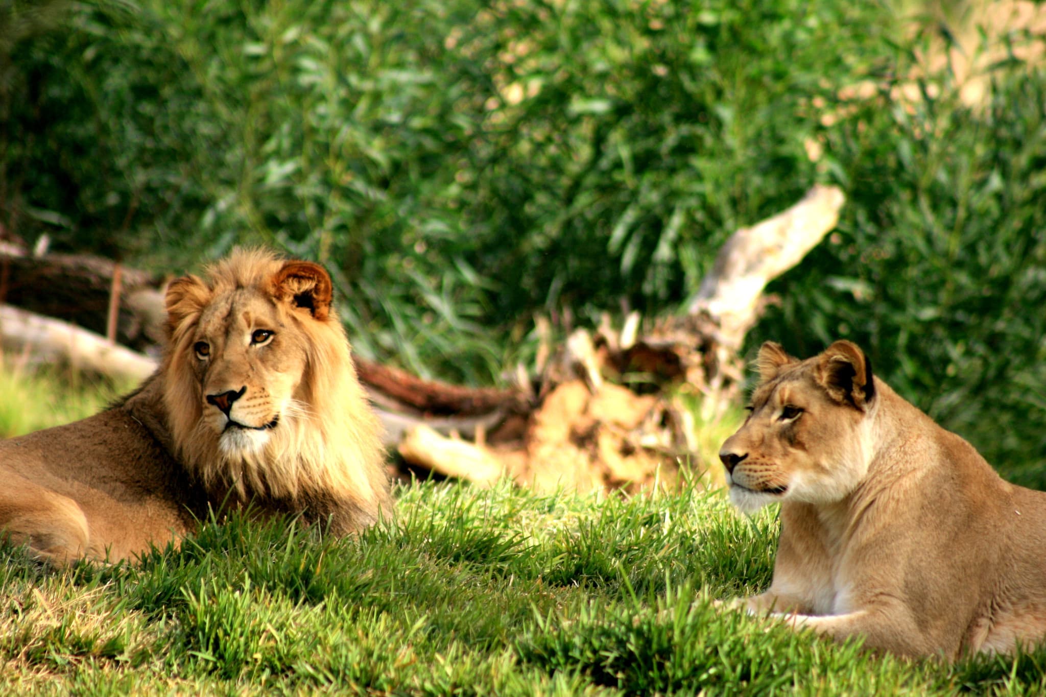 Go City Philadelphia Explorer Pass: Save up to 50% on Attractions - image 12